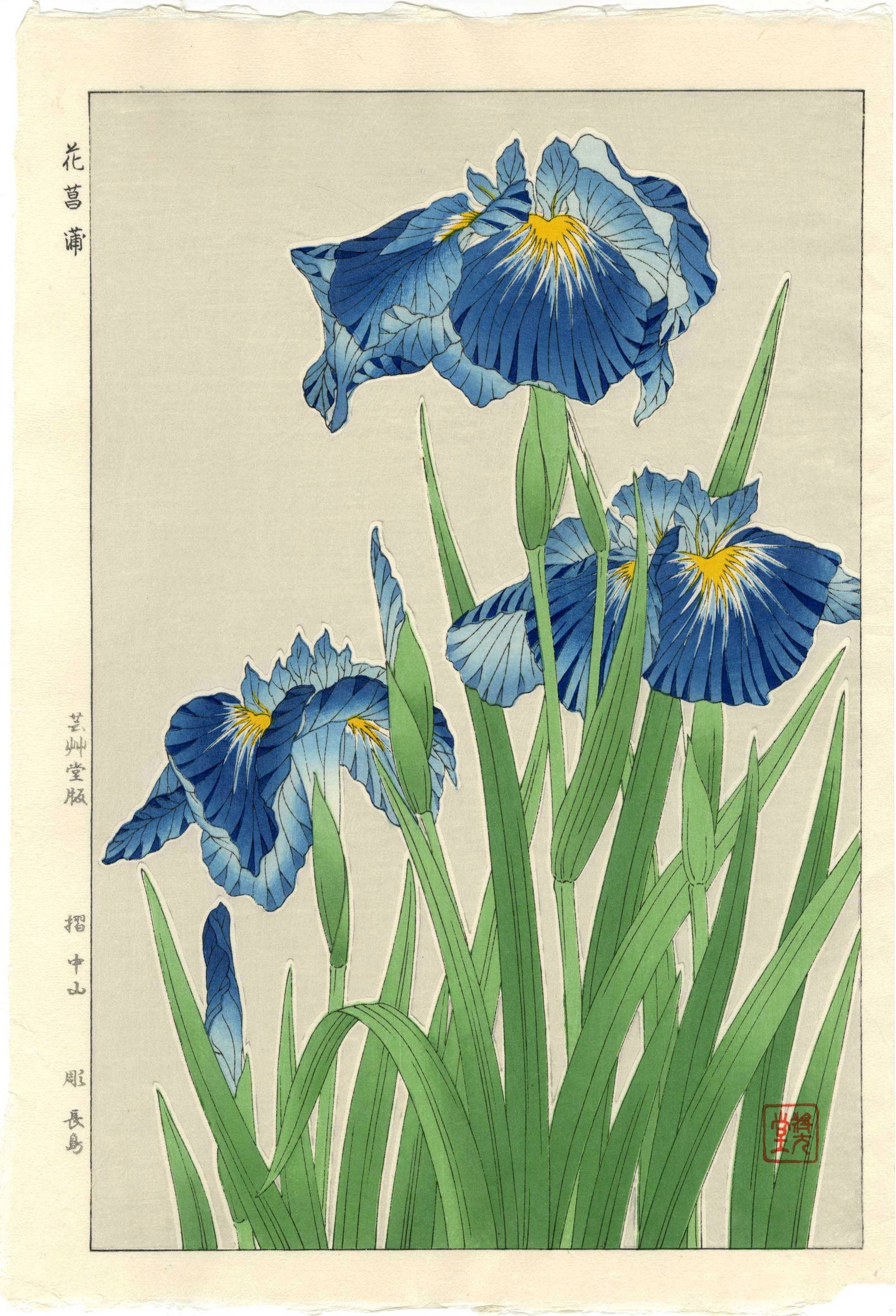 Kawarazaki Shodo: Blue Iris 1954Woodblock (1 of 2)