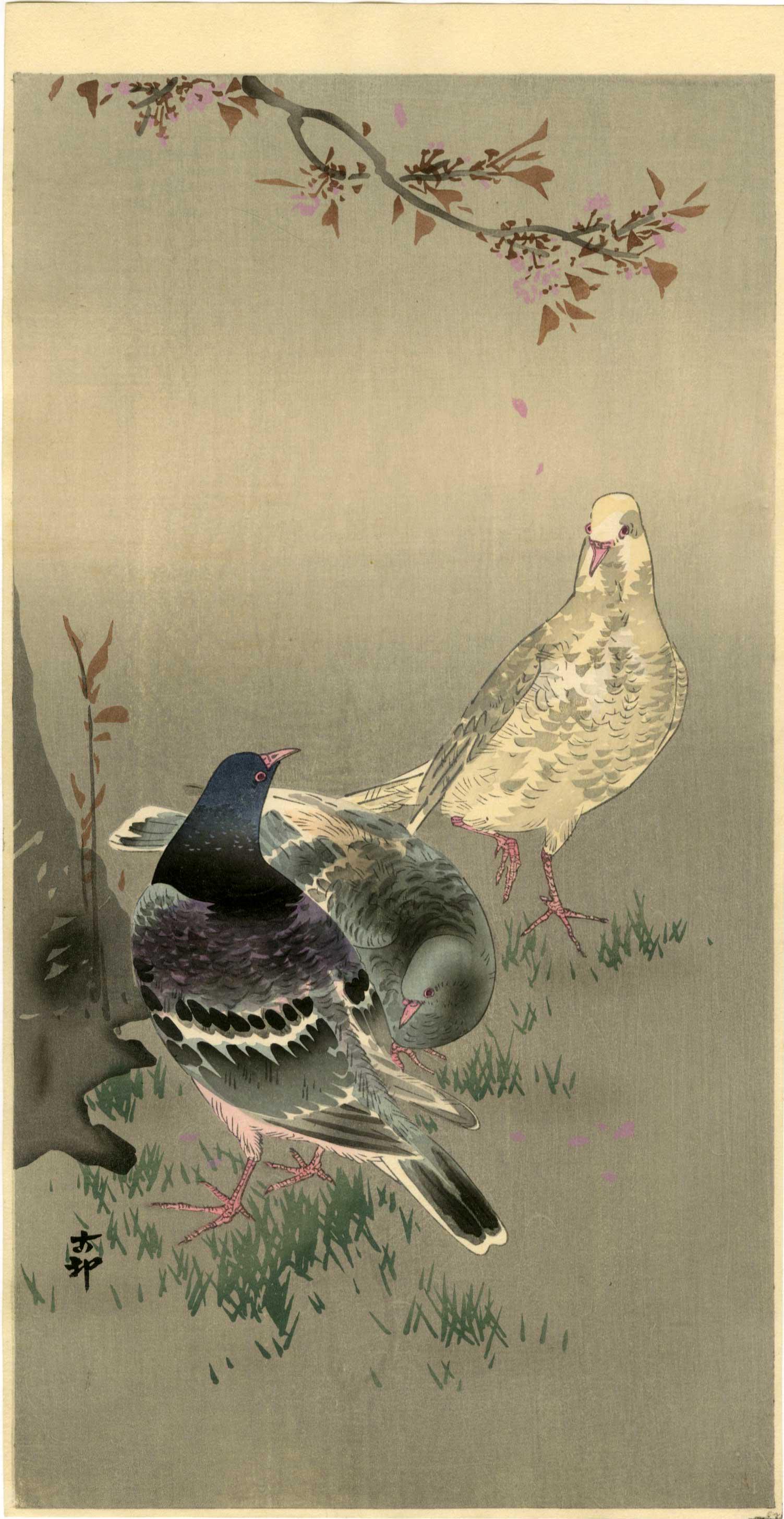 Koson Ohara: Two Pigeons and Blossoms 1920s Woodblock (1 of 2)