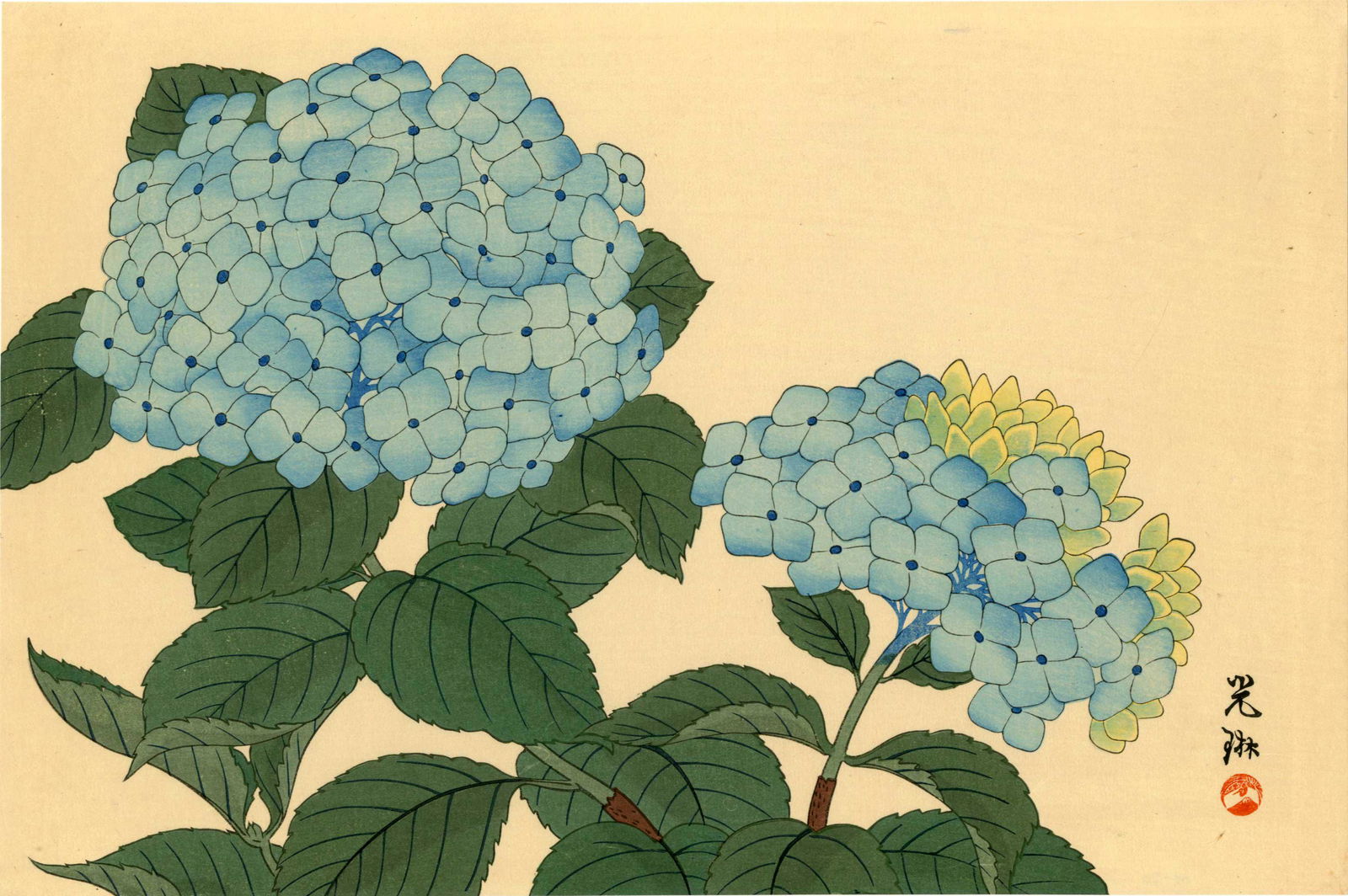 Ogata Korin: Hydrangea 1930s Woodblock (1 of 2)