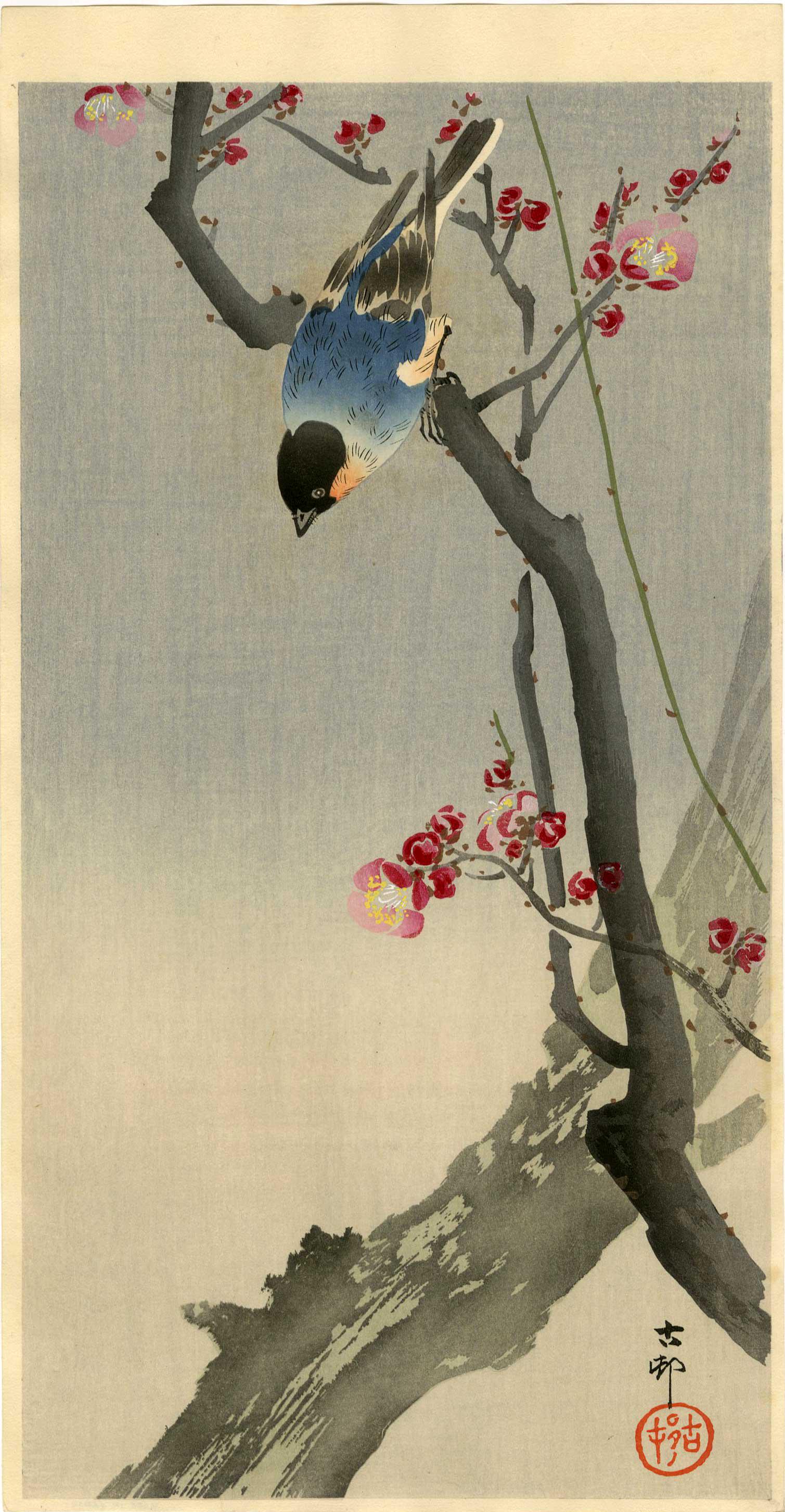 Ohara Koson: Blue Bird on a Plum Tree 1920s Woodblock (1 of 2)