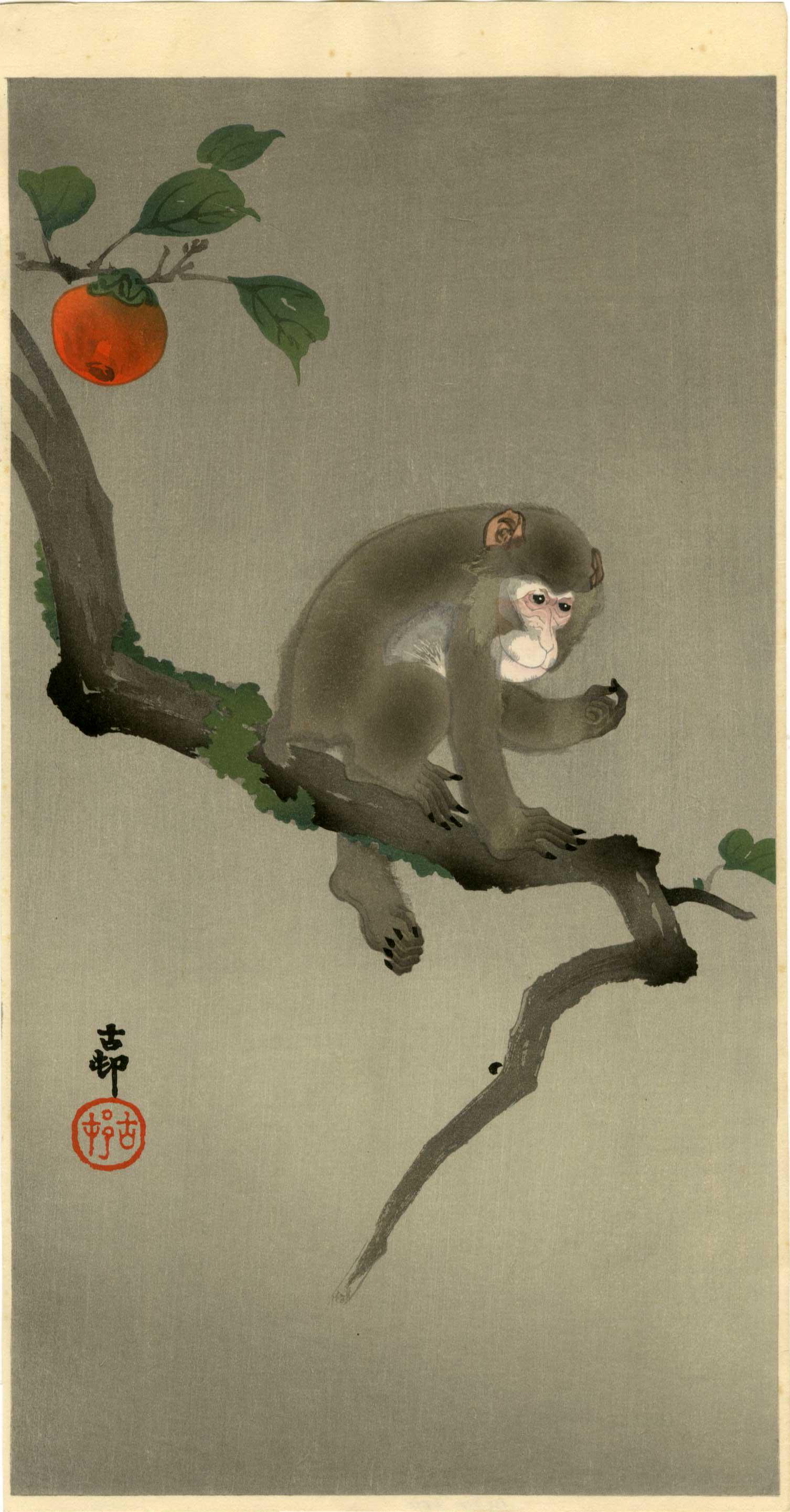 Ohara Koson: Monkey in Persimmon Tree 1920s woodblock (1 of 2)