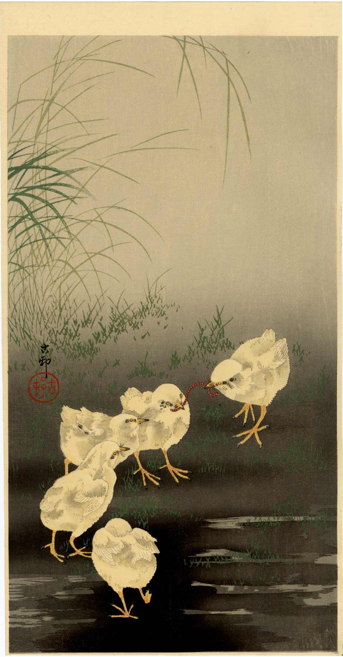 Koson Ohara: Chicks and Worm 1920s Woodblock: Japanese Woodblock Print, 1920s, published by Daikokuya SIZE IN INCHES: ohosoban, 7.5 x 14.5 inches PROVENANCE: From the Robert O. Muller estate OHARA KOSON (1877-1945), who also went by the art names