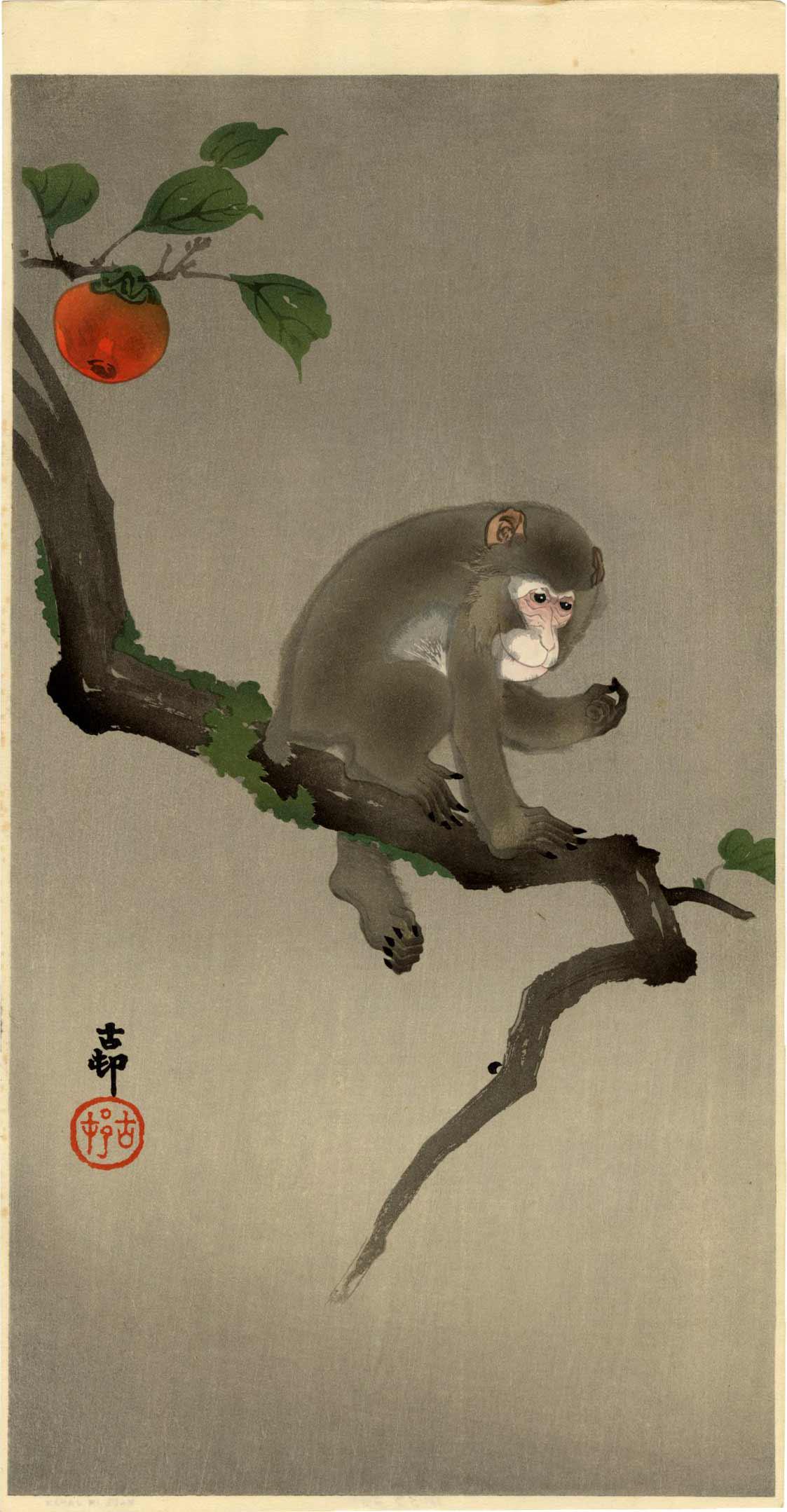 Ohara Koson: Monkey in Persimmon Tree 1920s woodblock (1 of 2)