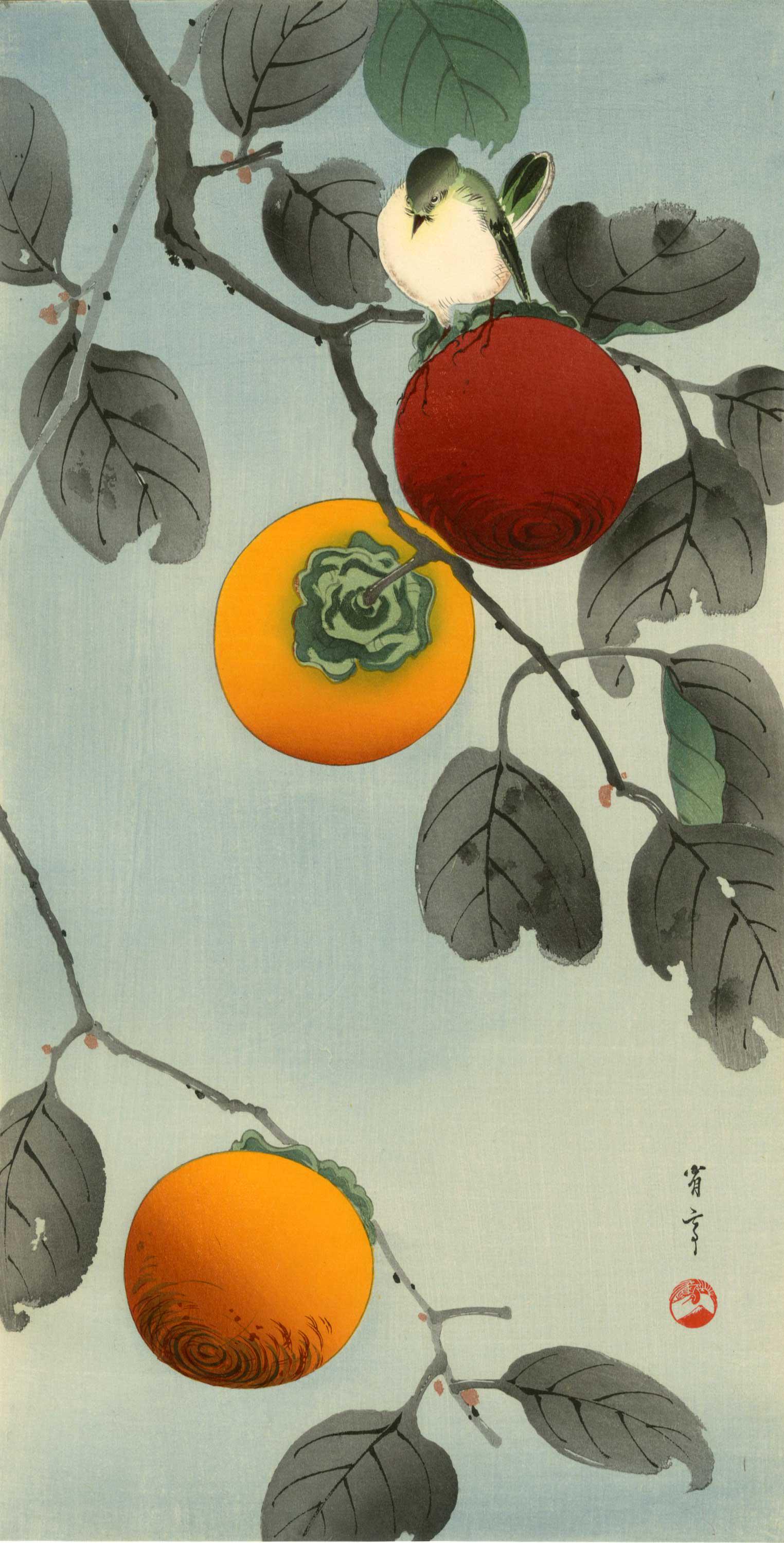 Seitei Watanabe: Nuthatch and Persimmon 1930s Woodblock (1 of 2)