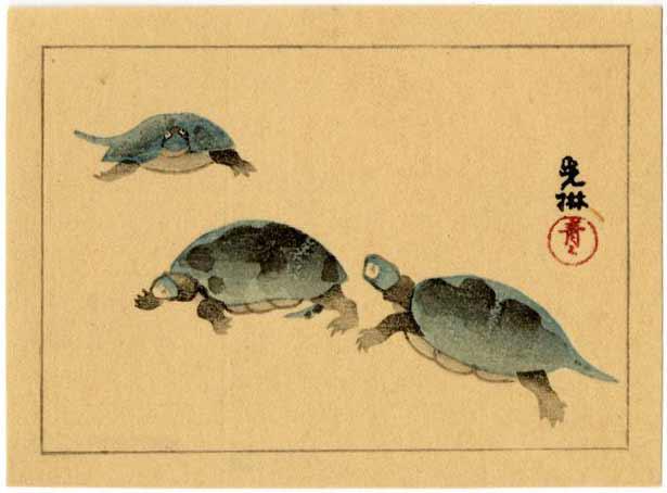 Korin Ogata: Three Turtles (Tortoise) Woodblock (1 of 2)