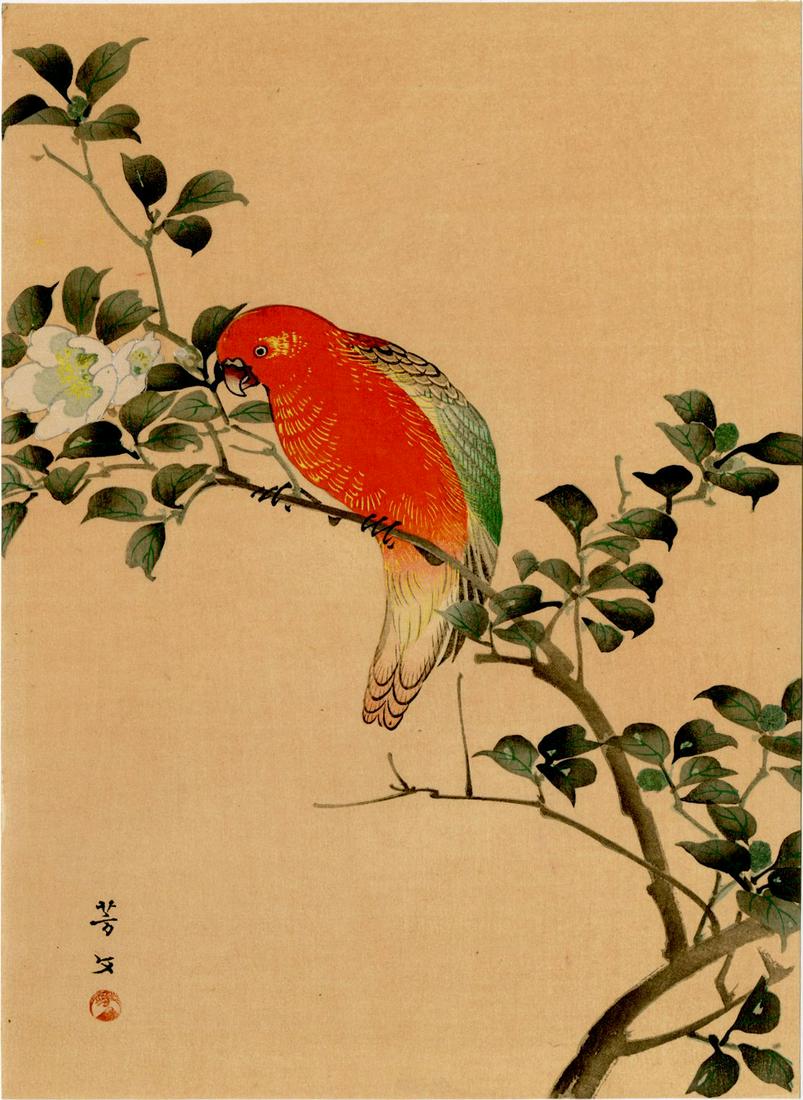 Hobun Kikuchi: Red Parrot Woodblock (1 of 2)