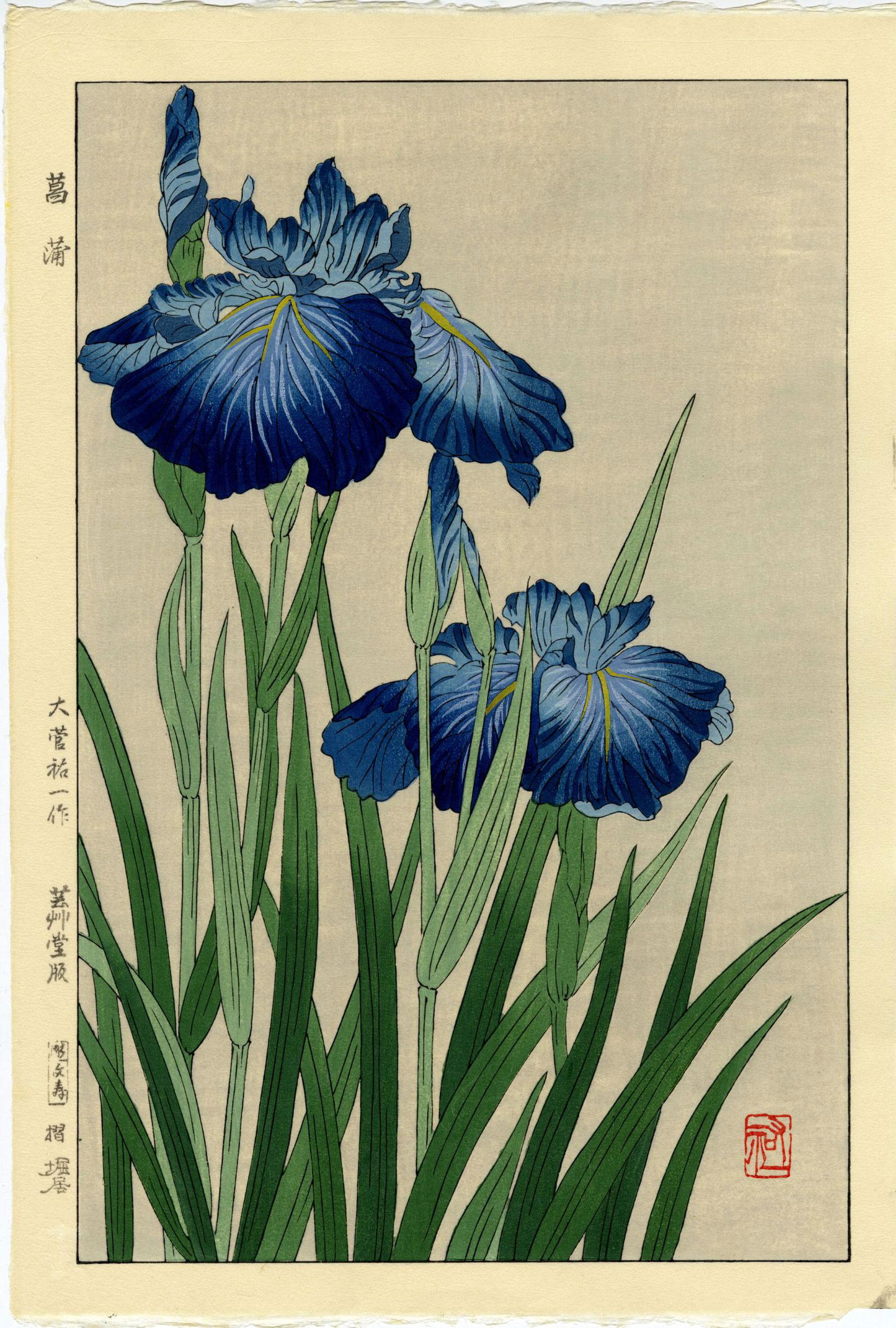 Kawarazaki Shodo: Blue Iris 1954 Woodblock (1 of 2)