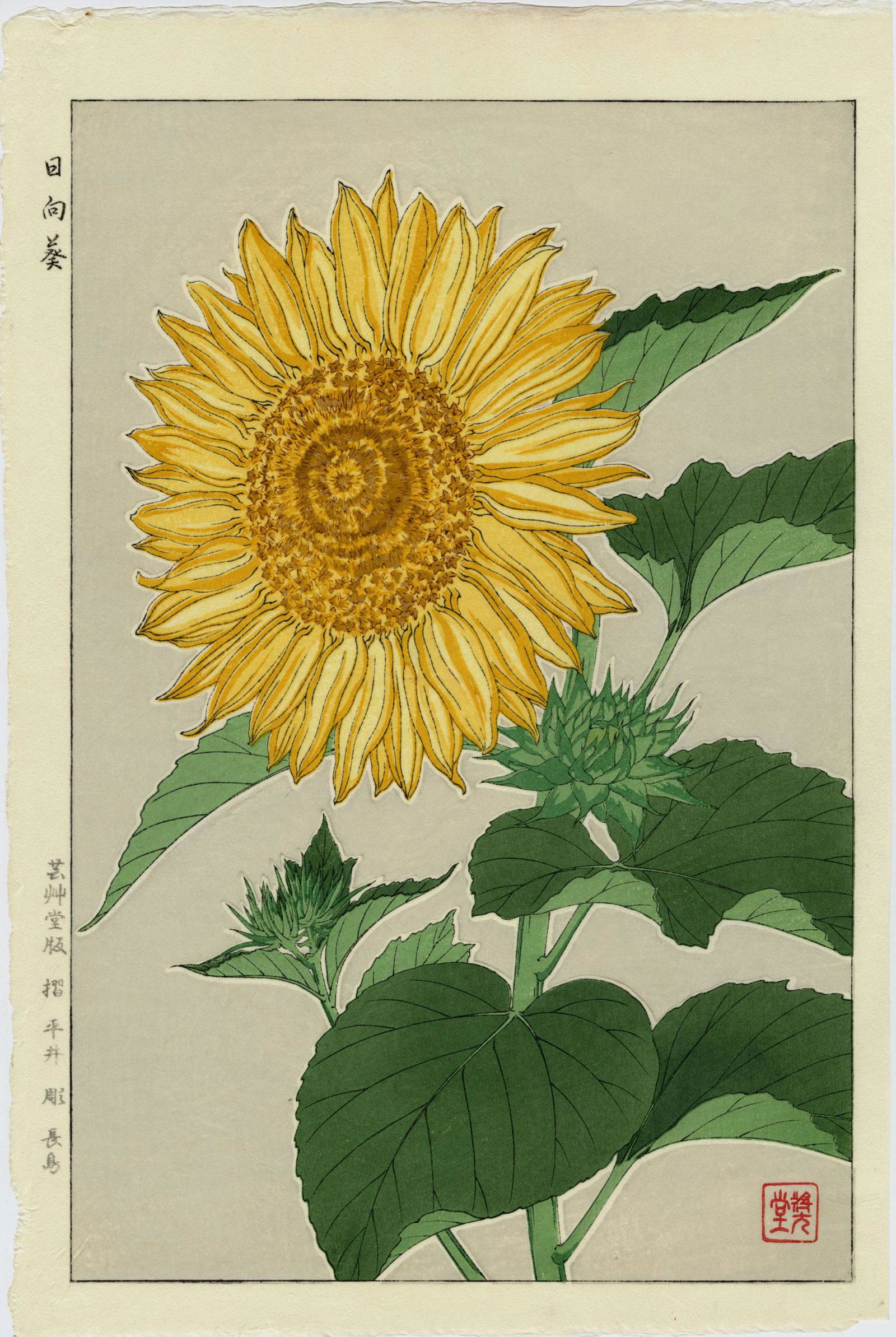 Kawarazaki Shodo: Sunflower 1954 Woodblock (1 of 2)