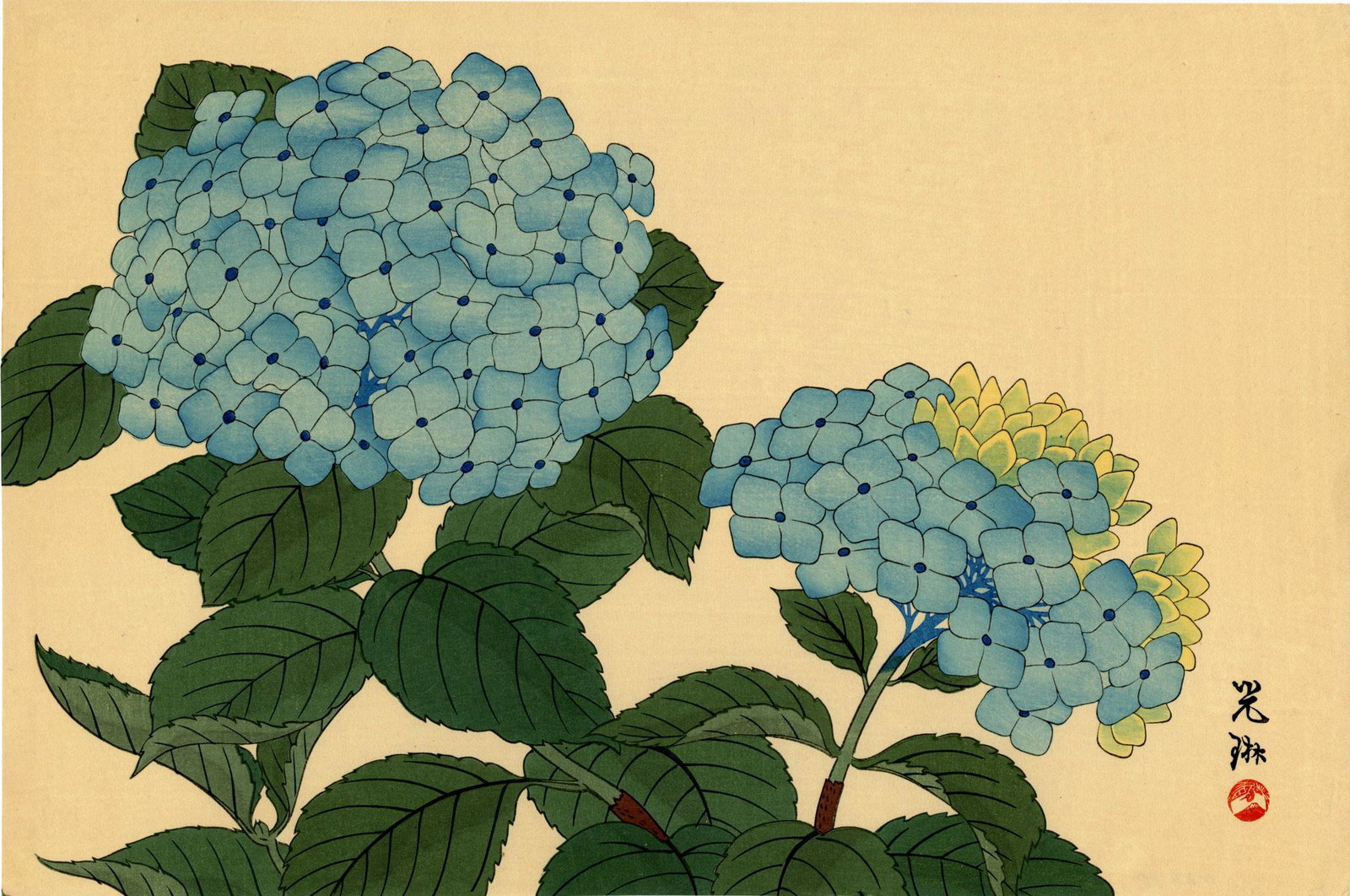 Korin Ogata: Hydrangea 1930s Woodblock Print: Japanese Woodblock Print, 1930s, published by the Shima Art Co. SIZE IN INCHES: oban, 15.5 x 10.25 inches COMMENTS: From the Robert O. Muller estate OGATA KORIN (1657-1716), a Japanese painter and lac