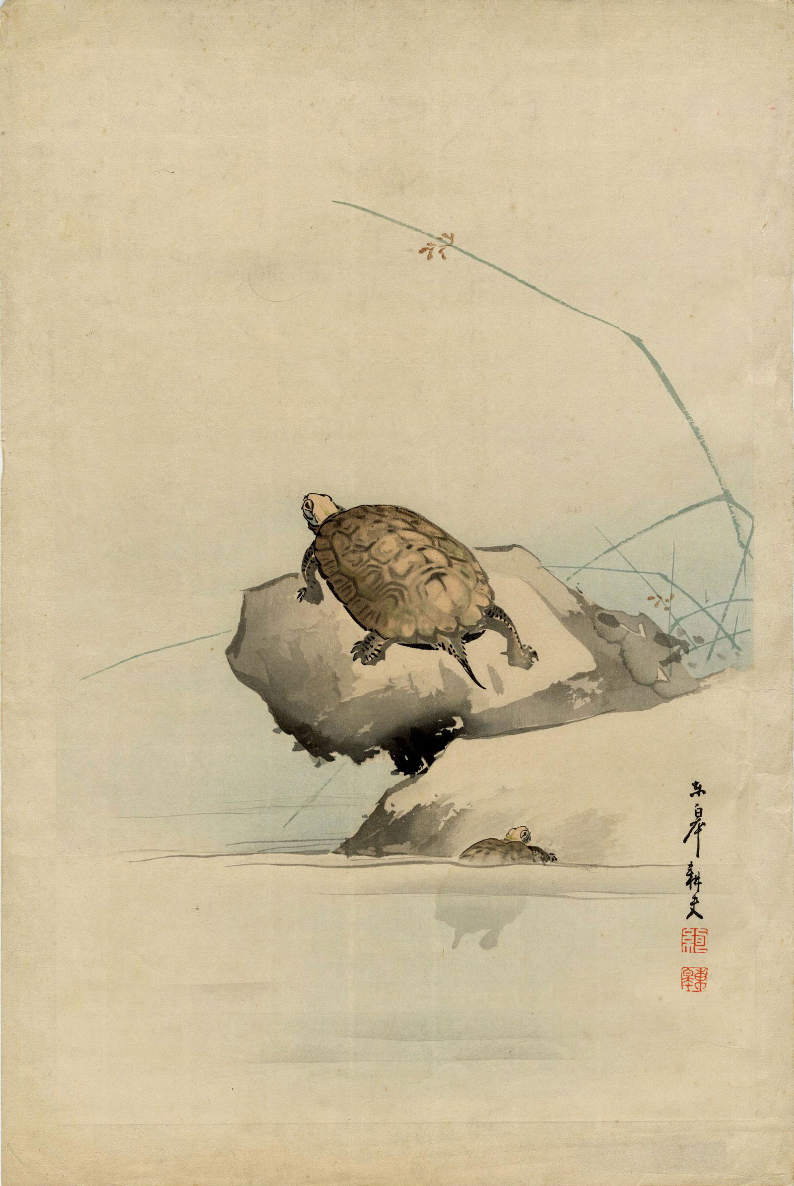 Oide Toko: Tortoises Beside Water 1910s Woodblock NR: Japanese Woodblock Print, 1910-20, published by Hasegawa/Nishinomiya, listed as number 1026 in the 1930s Hasegawa catalog SIZE IN INCHES: oban, 10.25 x 15.25 COMMENTS: A tortoise lumbers out of a pond