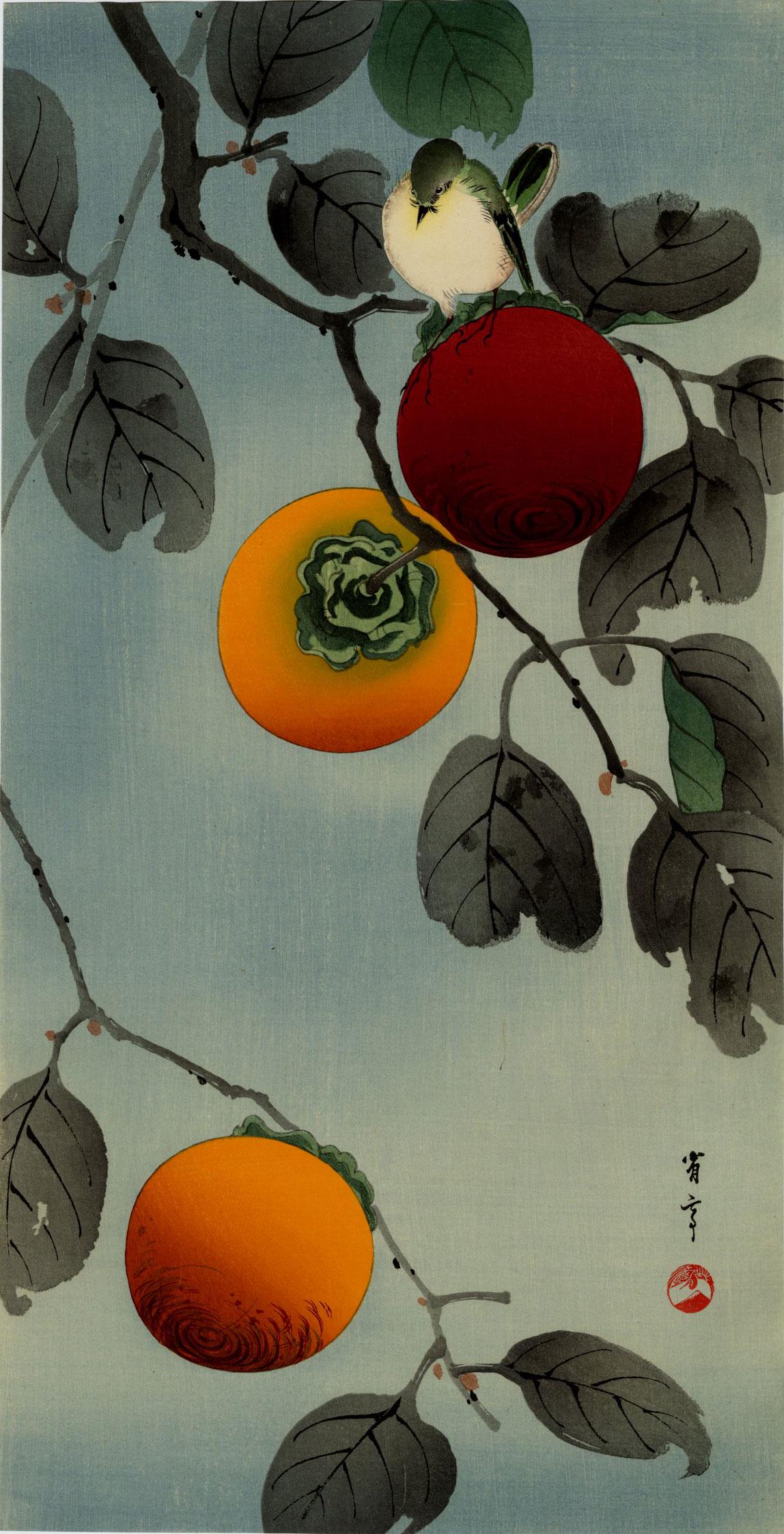 Seitei Watanabe: Nuthatch and Persimmon 1930s Woodblock (1 of 2)