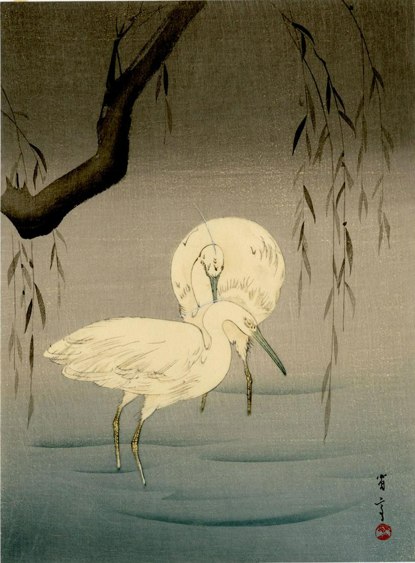 Watanabe Seitei: Wading Egrets and Willow 1920s Woodblock: Japanese Woodblock Print, 1930s, published by the Shima Art Co SIZE IN INCHES: chuban, 7.5 x 10 inches PROVENANCE: From the Robert O. Muller estate SEITEI WATANABE (1851-1918) was born Yoshikawa Yoshi