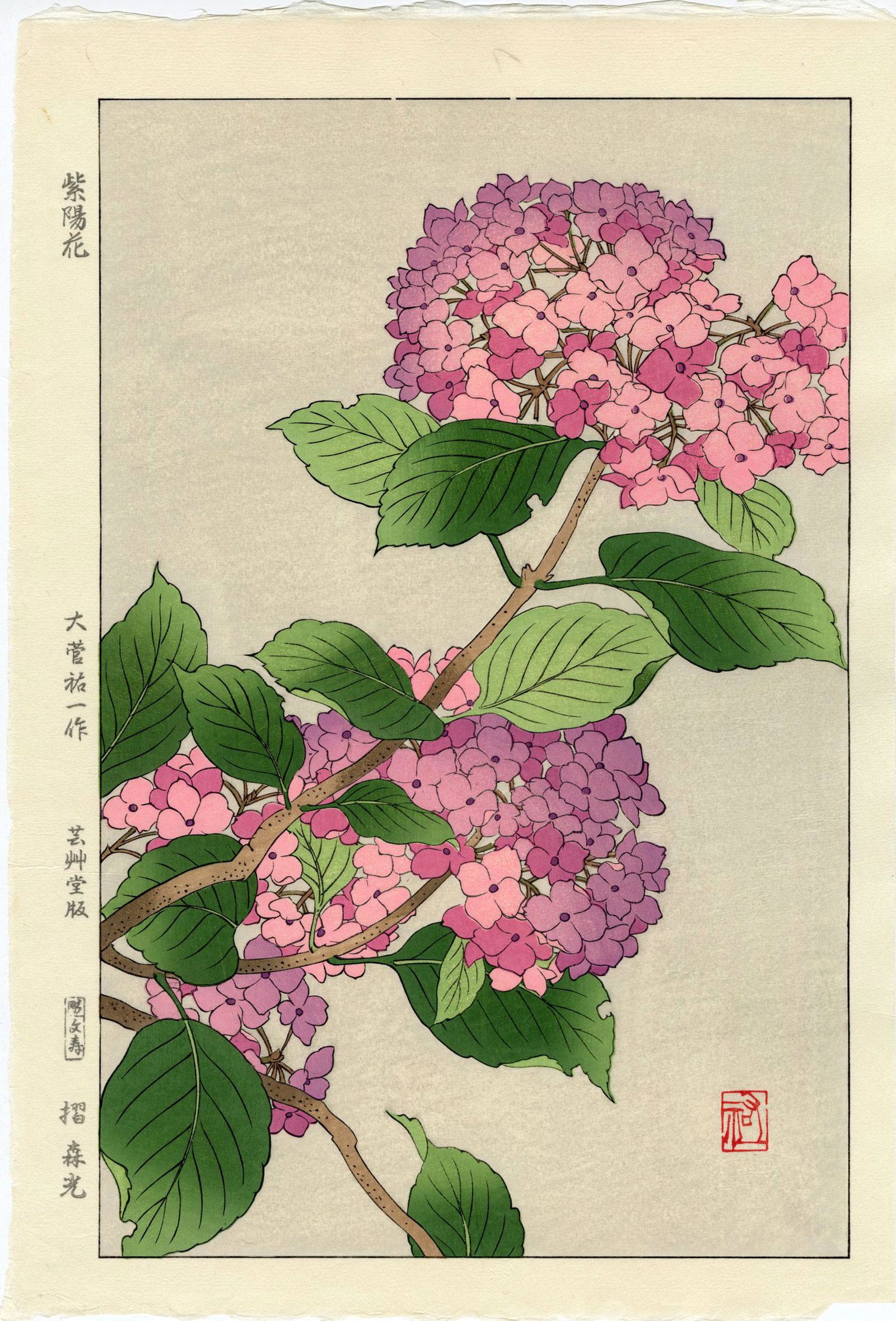 Yuichi Osuga: Violet Hydrangea 1954 Woodblock (1 of 2)