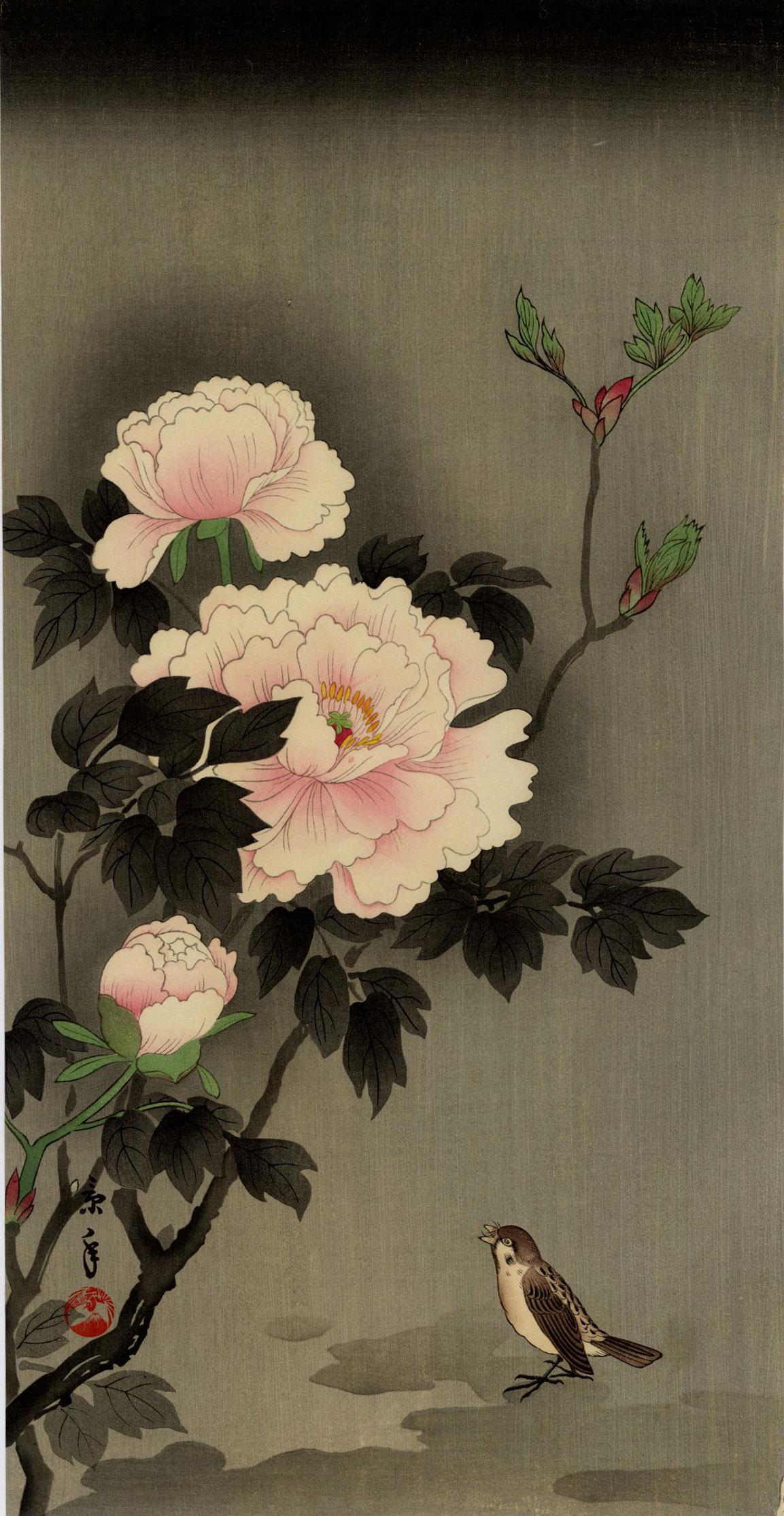 Keinen Imao: Sparrow and Peonies 1930s Woodblock: Japanese Woodblock Print, c.1930, published by the Shima Art Co., signed and sealed Keinen. SIZE IN INCHES: ohosoban, 7.5 x 15 inches PROVENANCE: From the Robert O. Muller estate IMAO KEINEN (1845-192