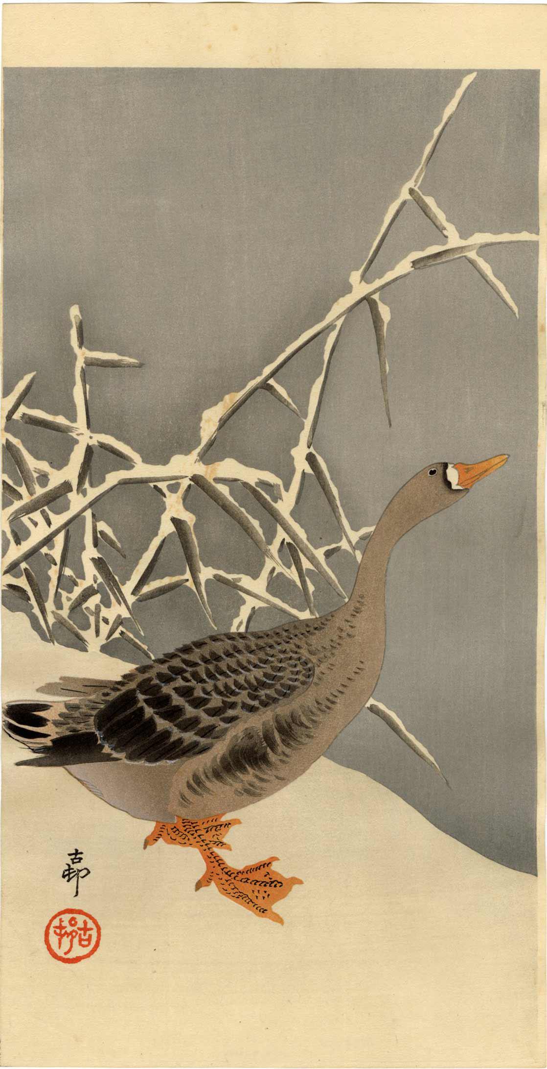 Ohara Koson: Wild Goose in Snow 1920s Woodblock NR: Japanese Woodblock Print, 1920s, published by Daikokuya SIZE IN INCHES: ohosoban, 7.5 x 14.5 inches PROVENANCE: From the Robert O. Muller estate OHARA KOSON (1877-1945), who also went by the art names