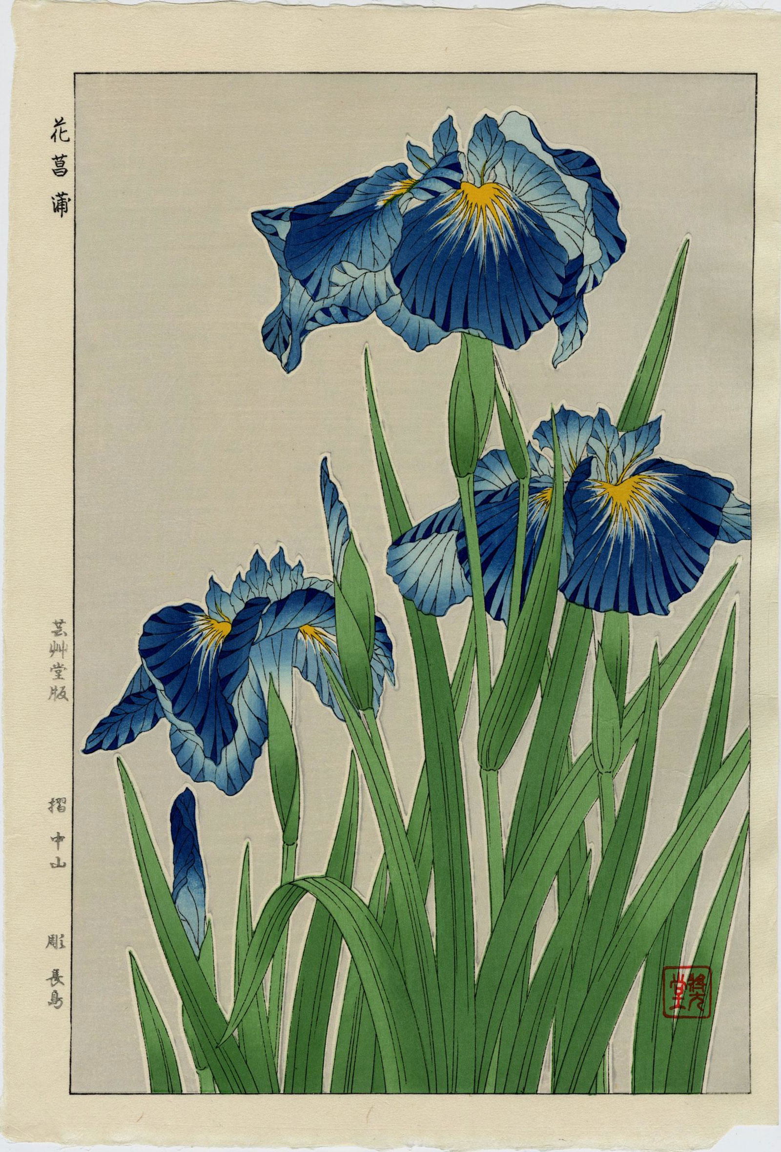 Yuichi Osuga: Blue Iris 1954Woodblock (1 of 2)