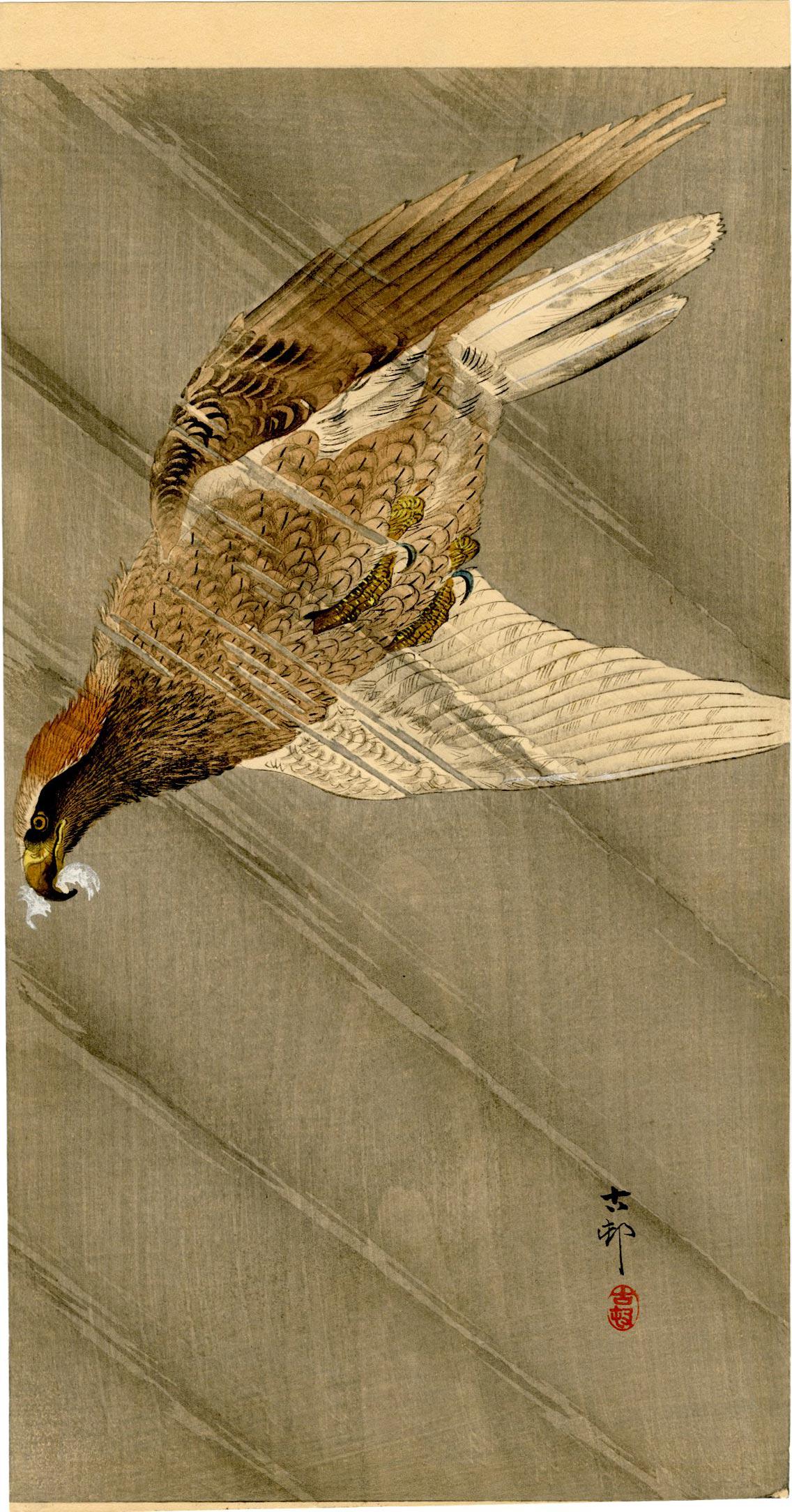 Koson Ohara - Eagle in Descent pre-EQ 1923 RARE (1 of 2)