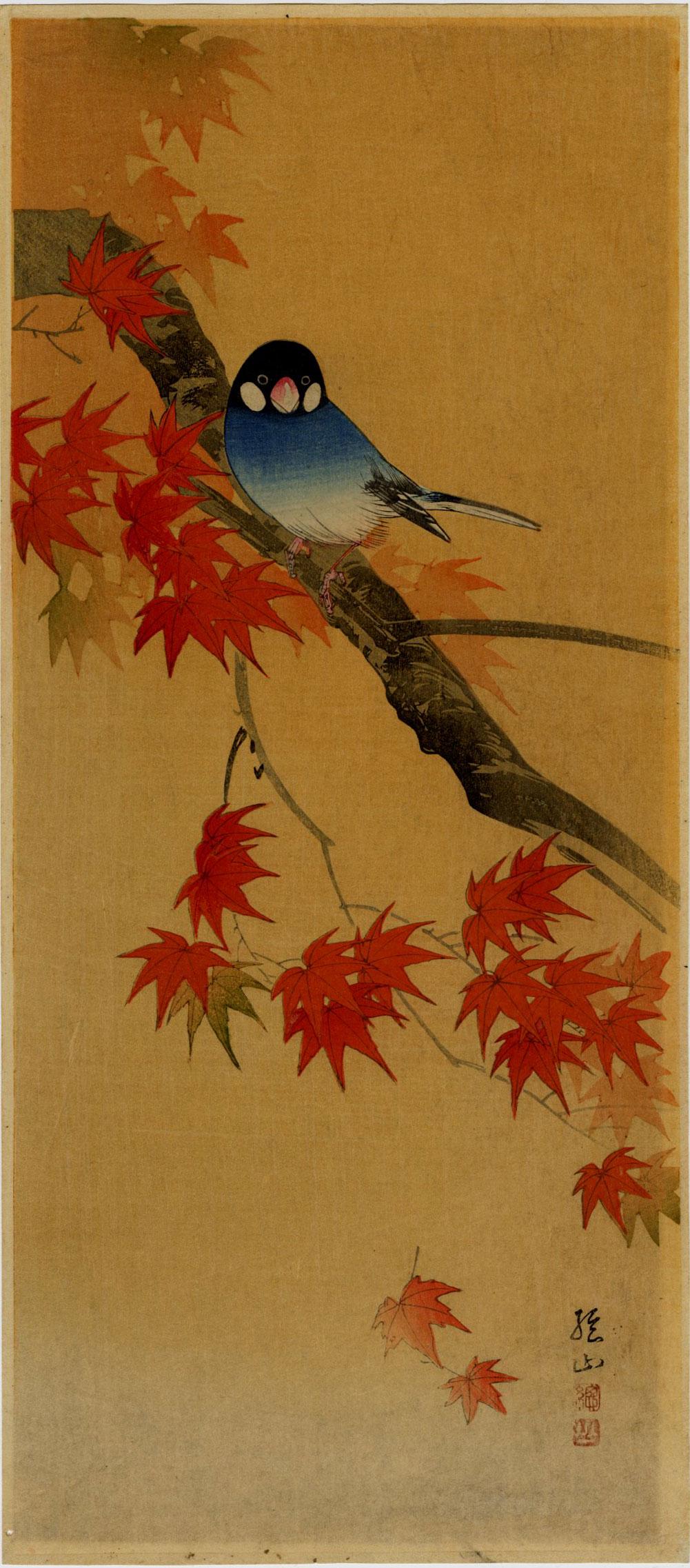 Sozan Ito: Java Sparrow on Maple 1925 Woodblock NR (1 of 2)