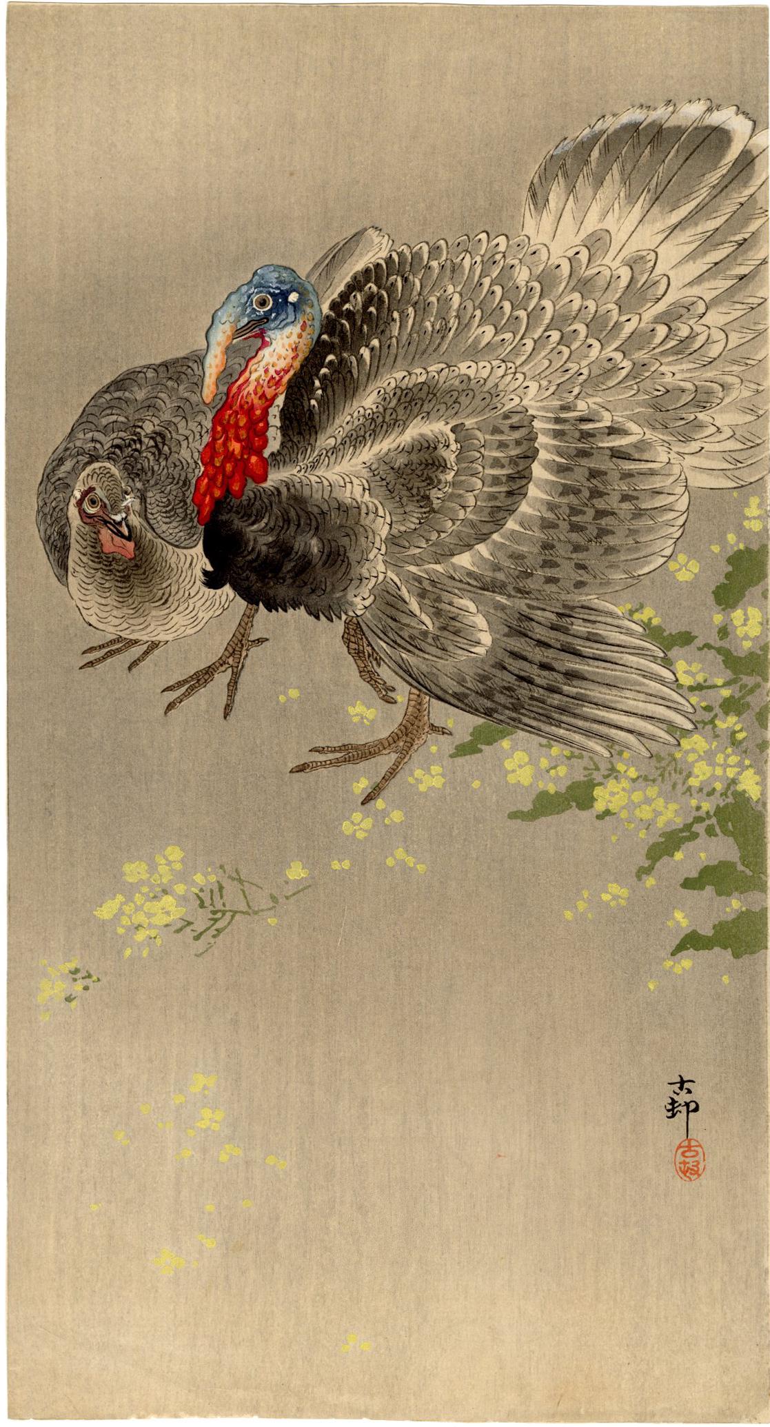 Koson Ohara - Two Turkeys c1920 woodblock RARE NR: Japanese Woodblock Print, c1900-20, Dikoku-ya Publisher (Tokyo 1818-1923); K38.19. SIZE IN INCHES: 7.5 x 13.75 COMMENTS: Skillfully executed "bokashi" shading; light "gauffrage" (embossing); visible w
