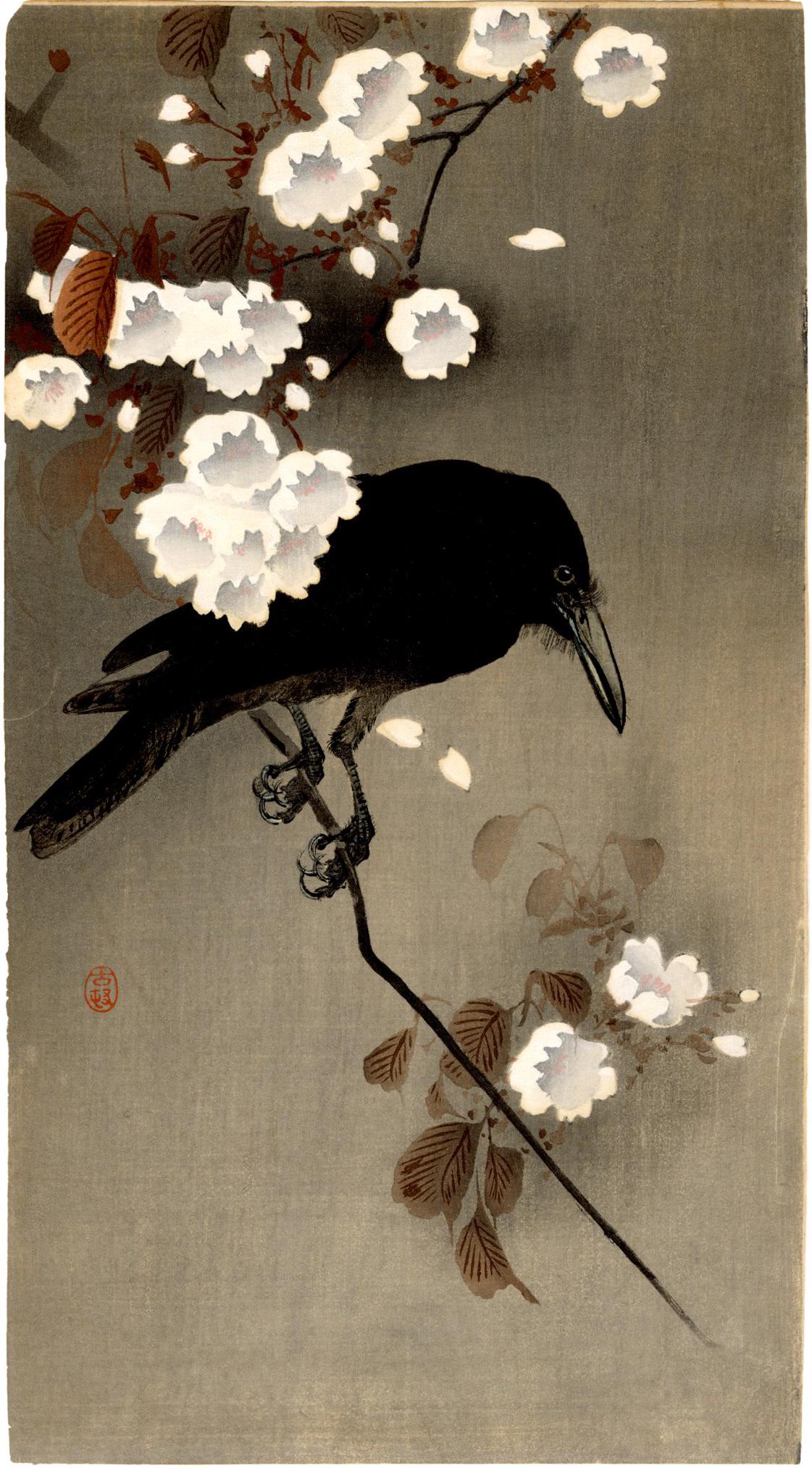 Koson Ohara - Crow on Cherry Woodblock c1910 RARE (1 of 2)
