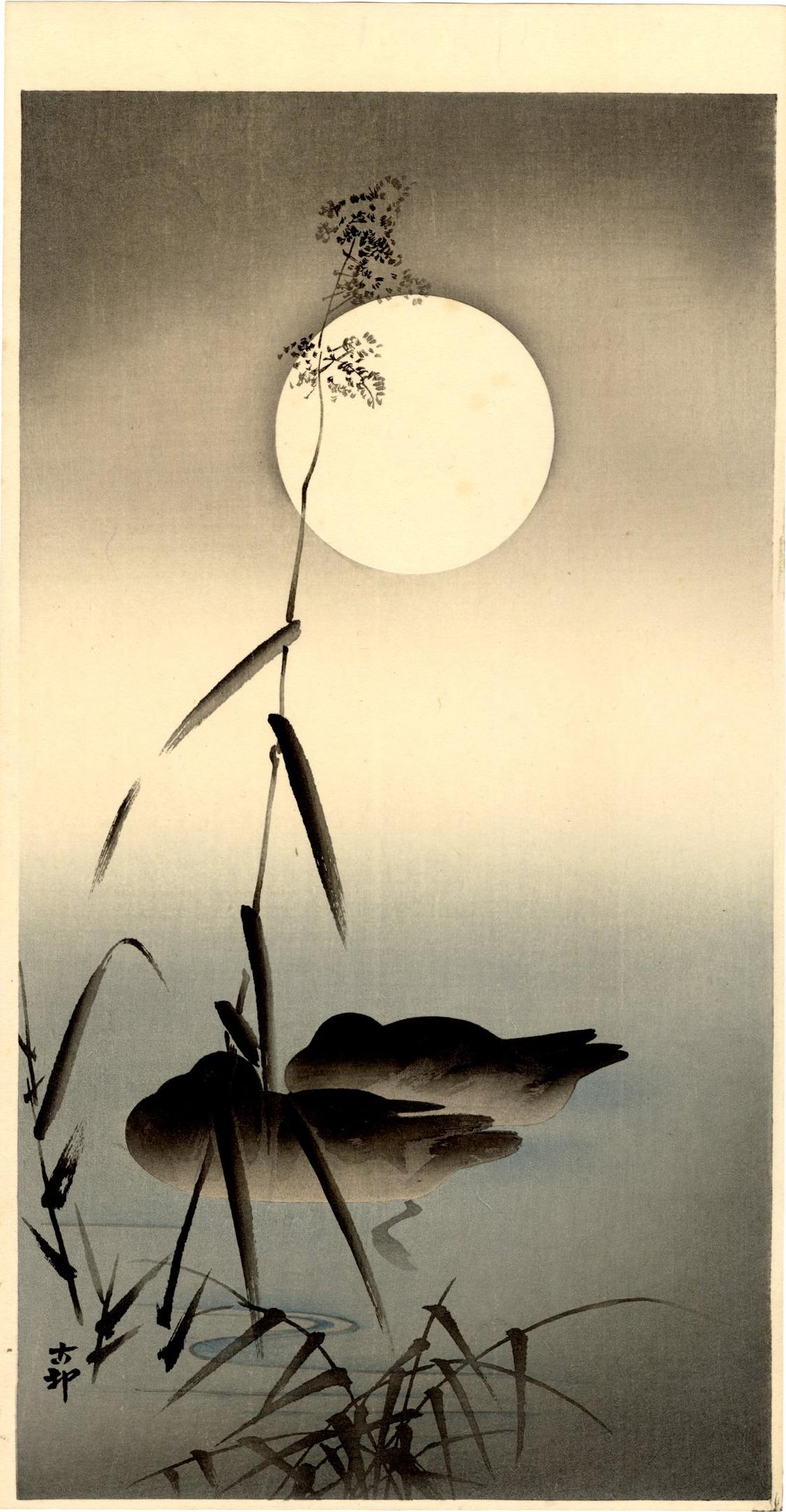 Koson Ohara - Sleeping Ducks Under Moon 1920s MULLER NR: Japanese Woodblock Print, 1910-20's, Daikoku-ya Publisher. SIZE IN INCHES: 7.5 x 14.5 COMMENTS: Superbly executed "bokashi" shading throughout, deep "gauffrage" to outline of moon, sharp key-lines, hi