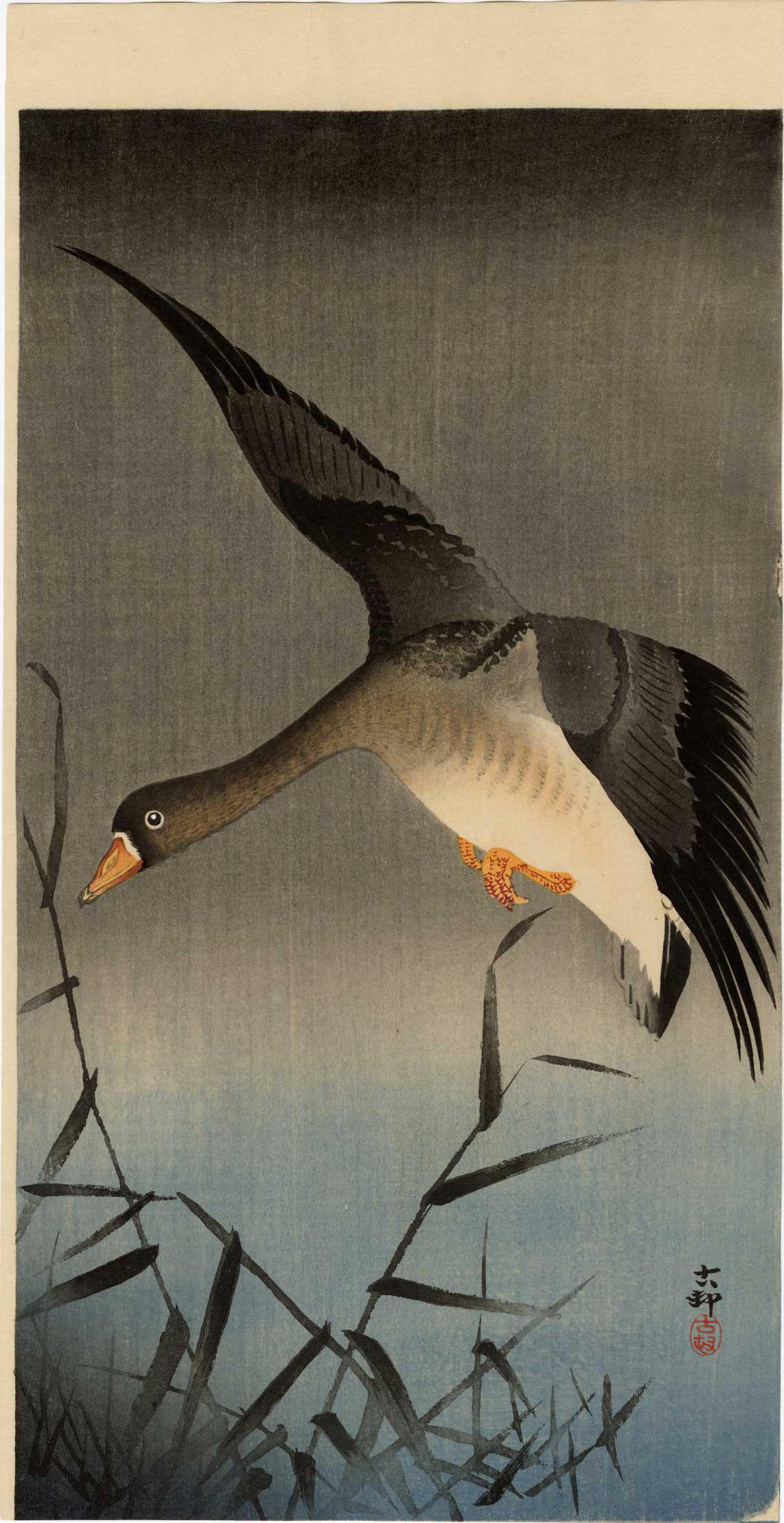 Koson Ohara - White-fronted Goose above Reeds 1910 RARE (1 of 2)