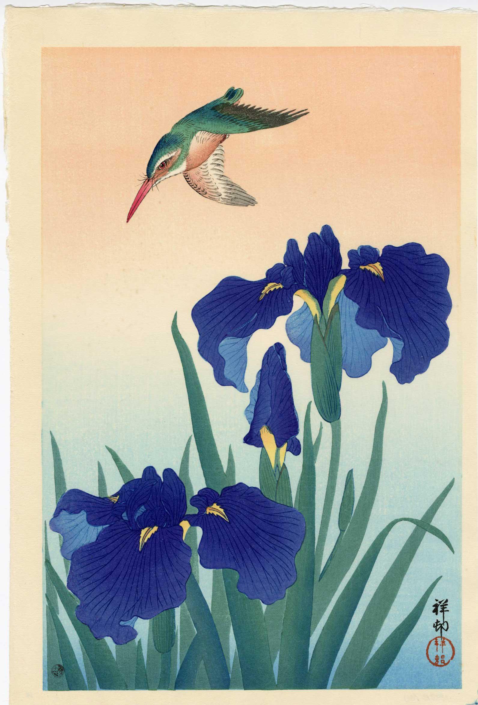 Koson Ohara: Kingfisher and Irises 1926 Woodblock: Japanese woodblock print, 1926, this is a later edition with Watanabe "K" seal (used 1957-1989), signed and sealed Shoson SIZE IN INCHES: oban, 10.5 x 15.25 inches A KINGFISHER flies over a group of i