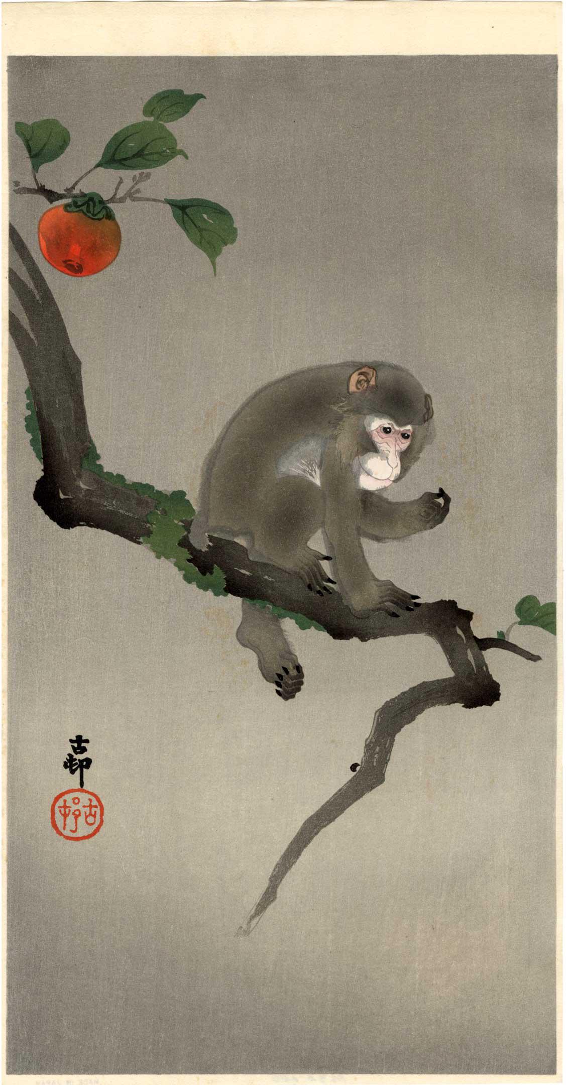 Koson Ohara: Monkey in Persimmon Tree 1920s Woodblock (1 of 2)