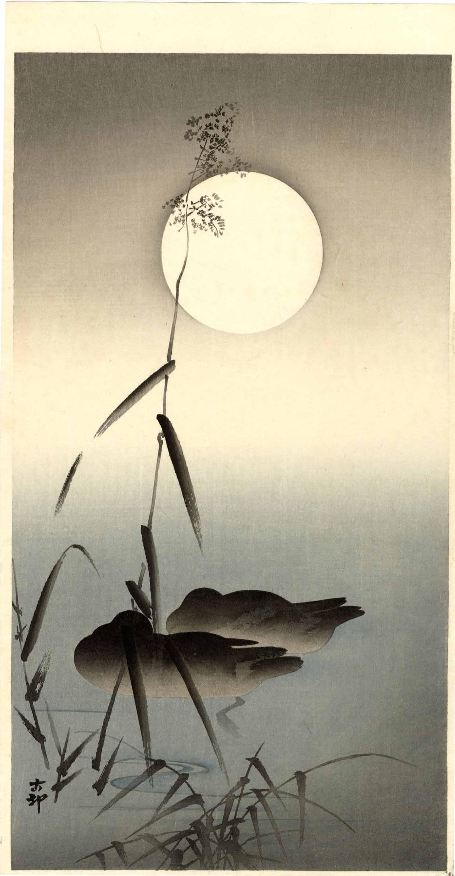 Koson Ohara - Sleeping Ducks Under Moon 1920s MULLER NR: Japanese Woodblock Print, 1910-20's, Daikoku-ya Publisher. SIZE IN INCHES: 7.5 x 14.5 COMMENTS: Superbly executed "bokashi" shading throughout, deep "gauffrage" to outline of moon, sharp key-lines, hi