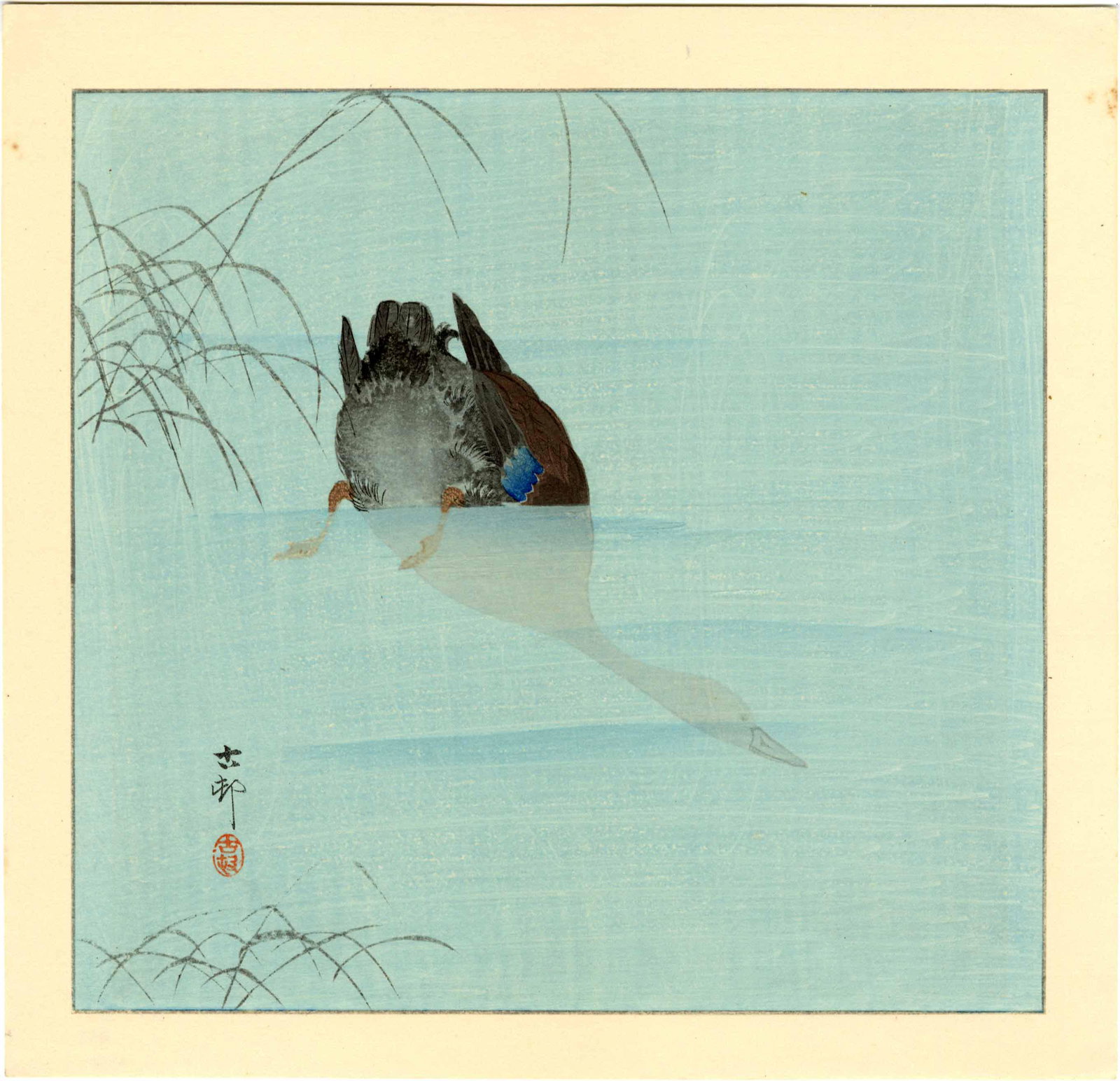 Koson Ohara: Diving Mallard Duck 1930s Woodblock NR (1 of 2)