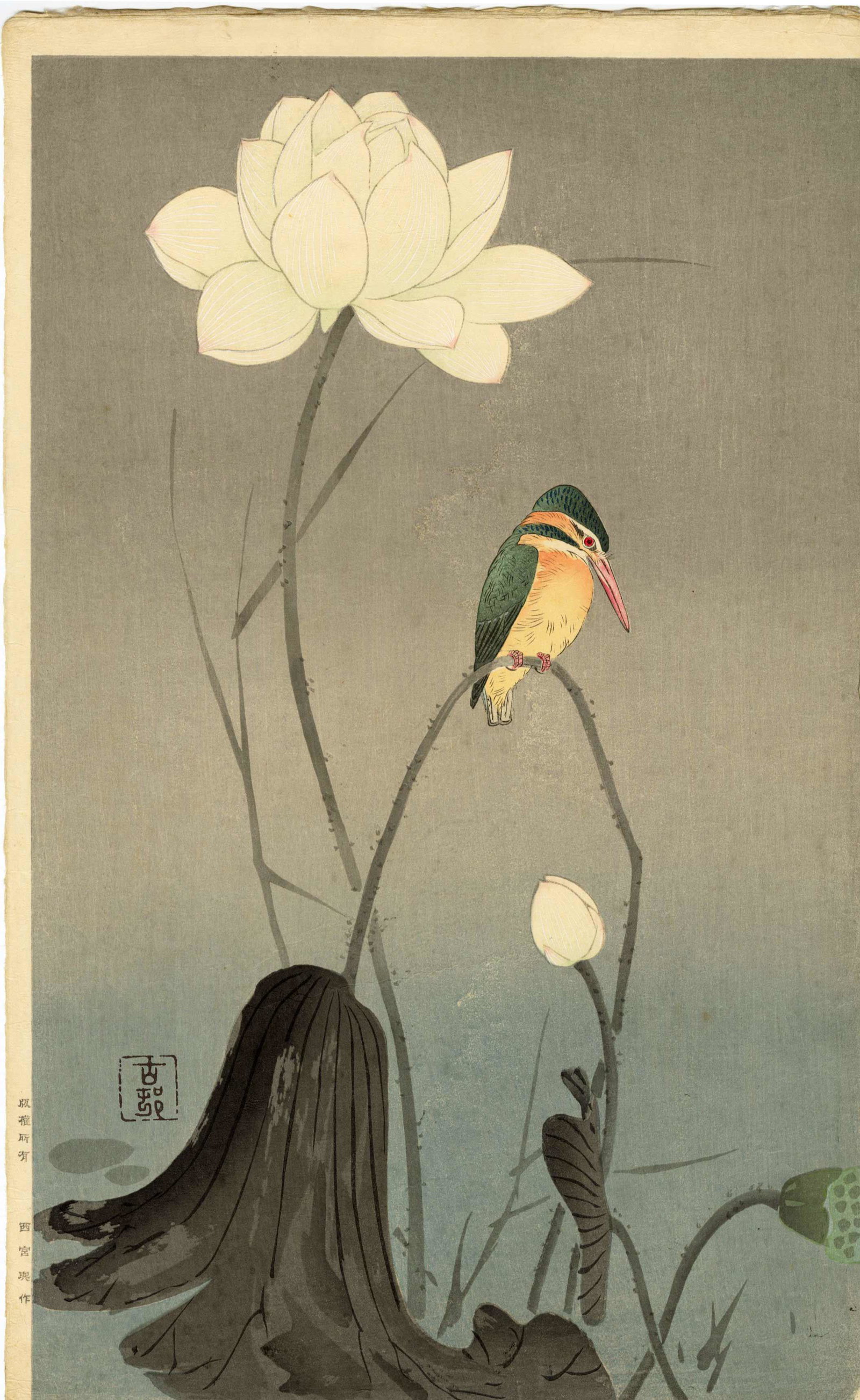 Koson Ohara: Kingfisher on Lotus c.1920 Woodblock: Japanese Woodblock Print, c.1920s, published by. Nishinomiya SIZE IN INCHES: oban, 10.5 x 17 inches OHARA KOSON, (1877-1945) who also went by the art names of Shoson and Hoson, began his career as the