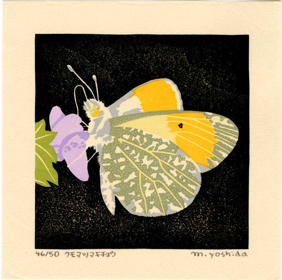 Masaki Yoshida: Butterfly 2006 1st Ed. Woodblock NR: Japanese Woodblock Print, 2006, self published by Masaki Yoshida, signed and numbered 46/50 in the lower margin SIZE IN INCHES: 6.5 x 6.5 inches COMMENTS: It's becoming rare to see a monarch. The Inte