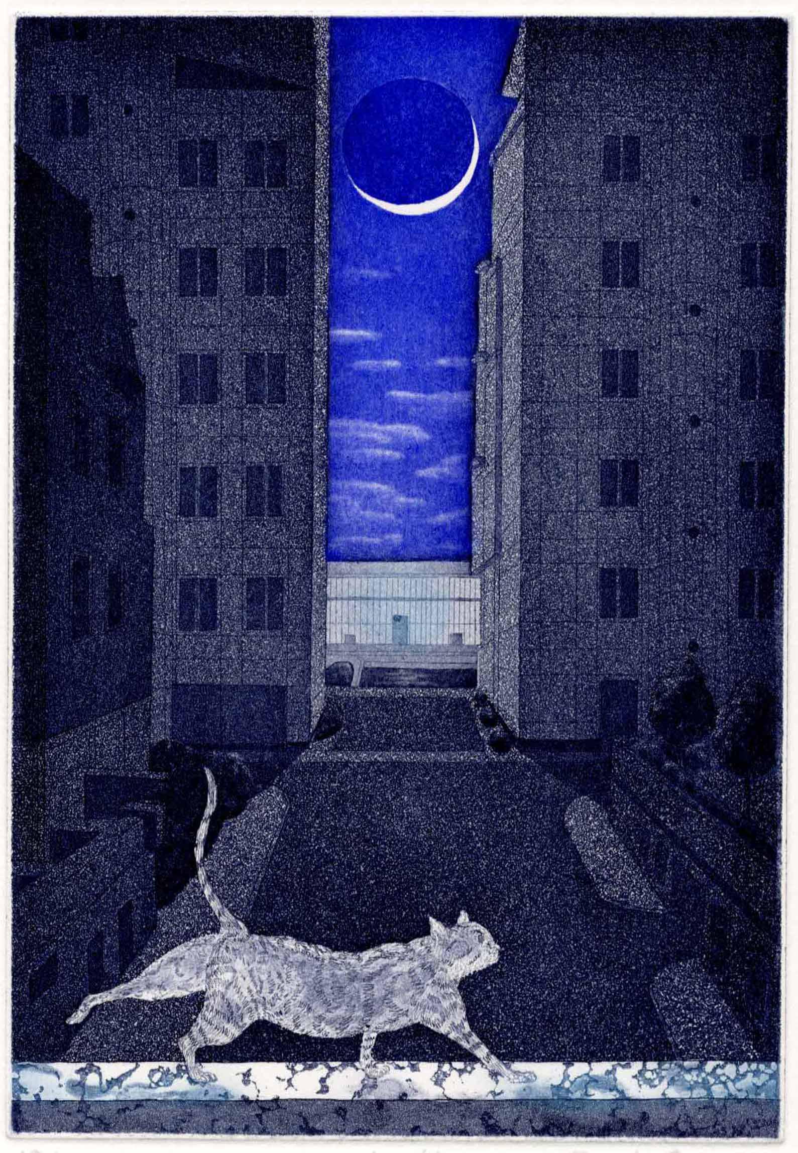 Emiko Aida: Moon Walker 2005 1st Ed. Aquatint (1 of 3)