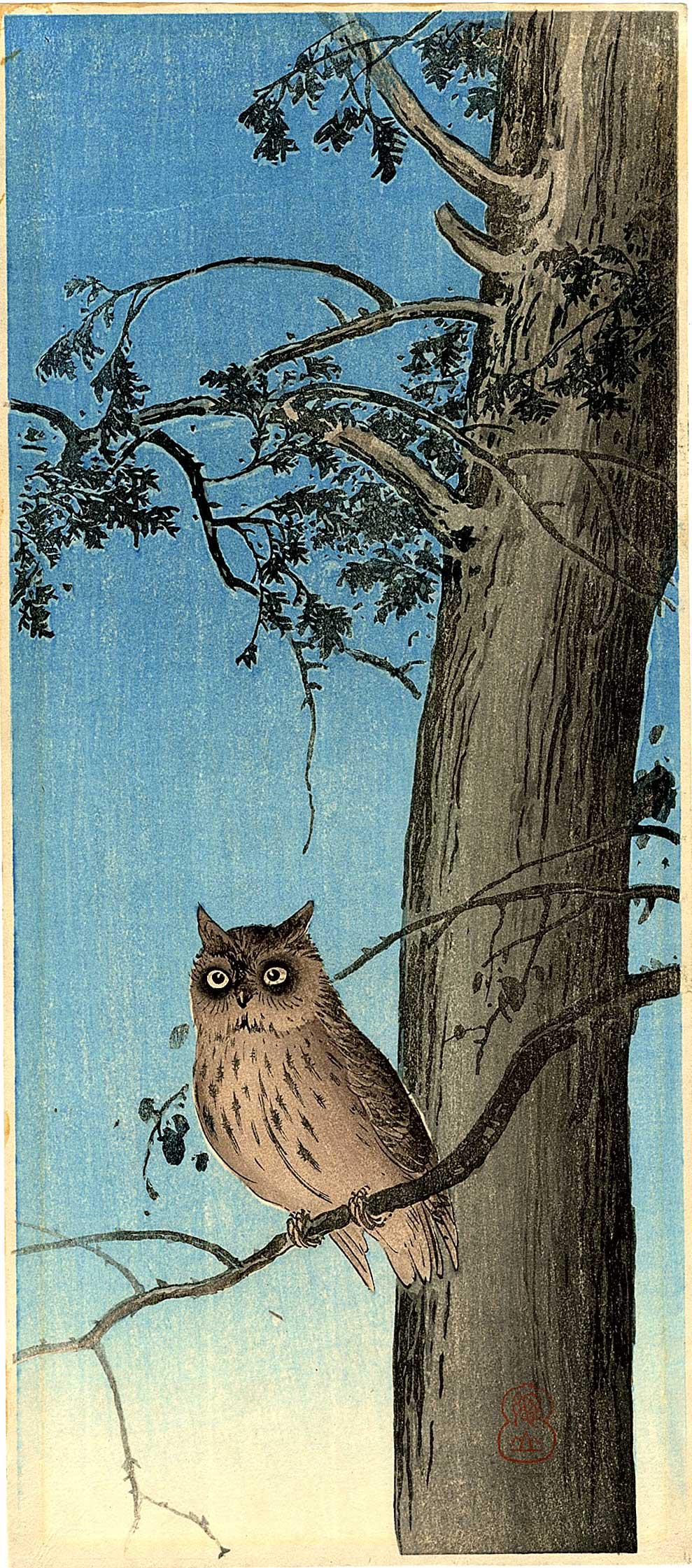 Ito Sozan - Owl in Pine Tree c1920s woodblock RARE NR (1 of 2)