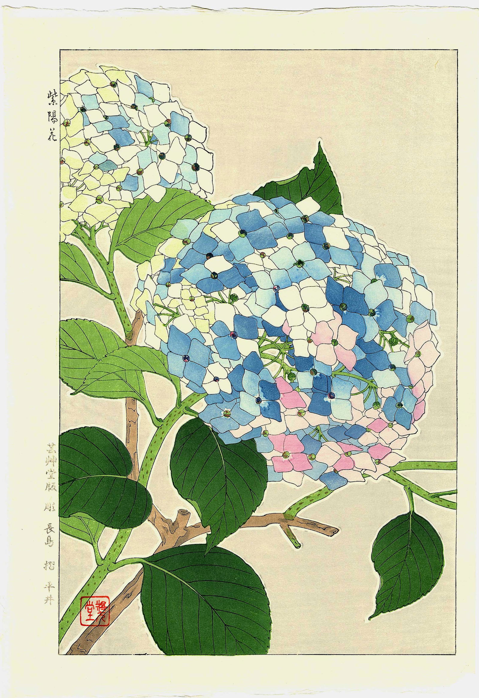 Kawarazaki Shodo: Blue Hydrangea 1954 Woodblock (1 of 2)