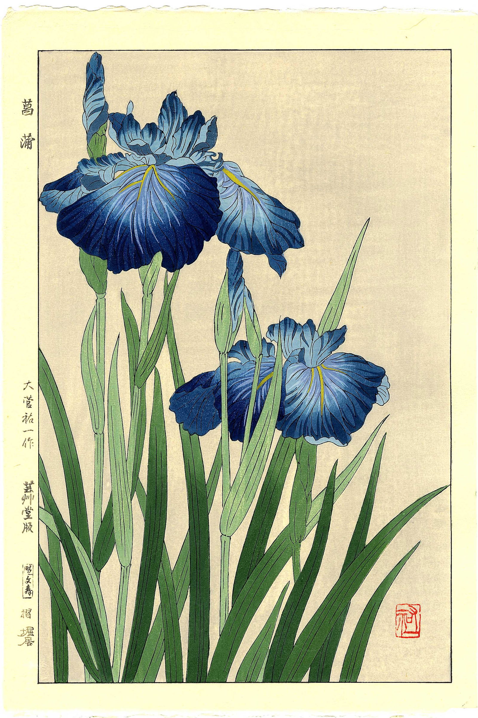 Kawarazaki Shodo: Blue Iris 1954 Woodblock (1 of 2)