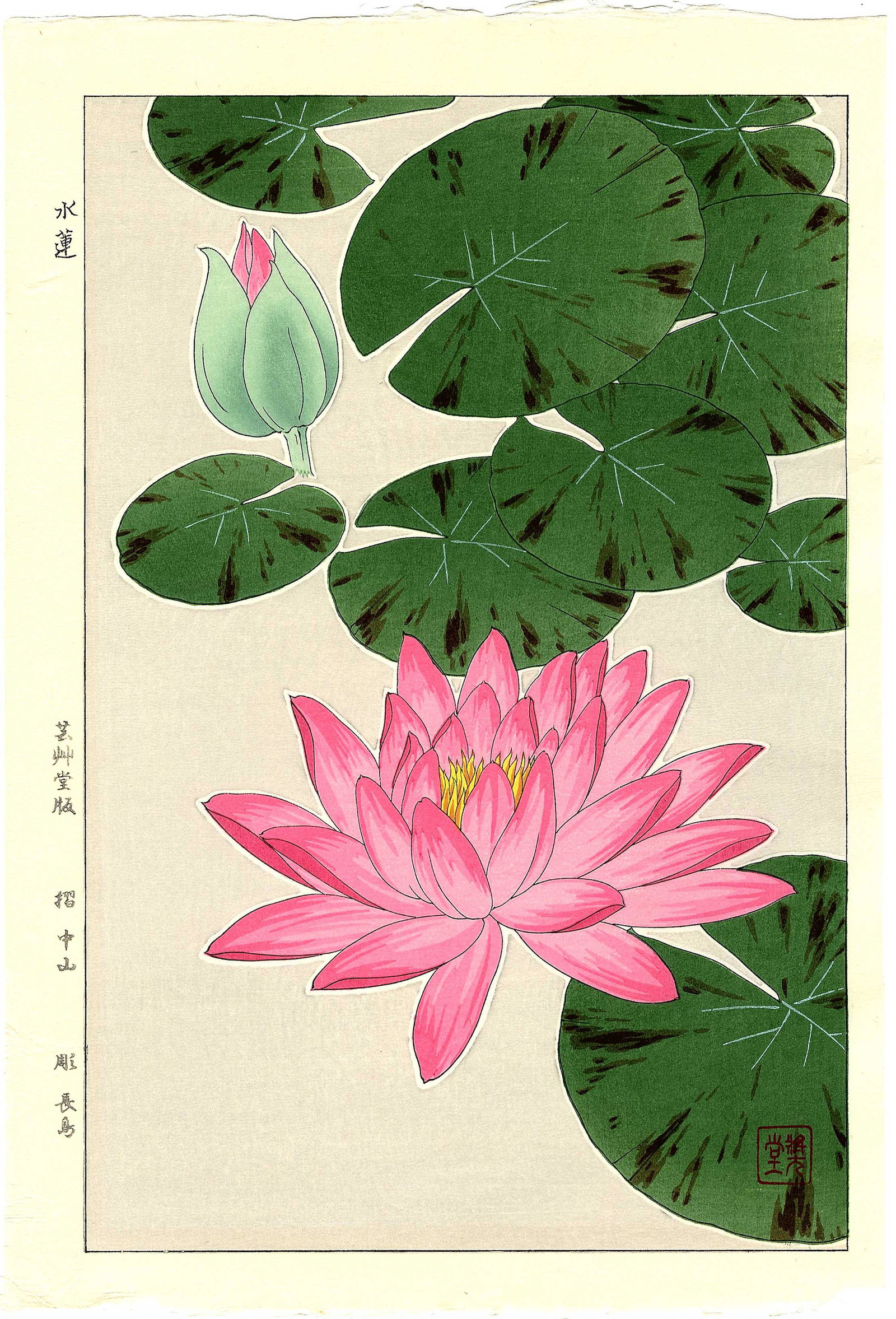 Kawarazaki Shodo: Pink Lotus 1954 Woodblock: Japanese Woodblock Print, 1954, this later printing published by Unsodo from the original woodblocks SIZE IN INCHES: oban, 10.5. x 15.5 inches SHODO KAWARAZAKI (1889-1973) is best known for his woodbl