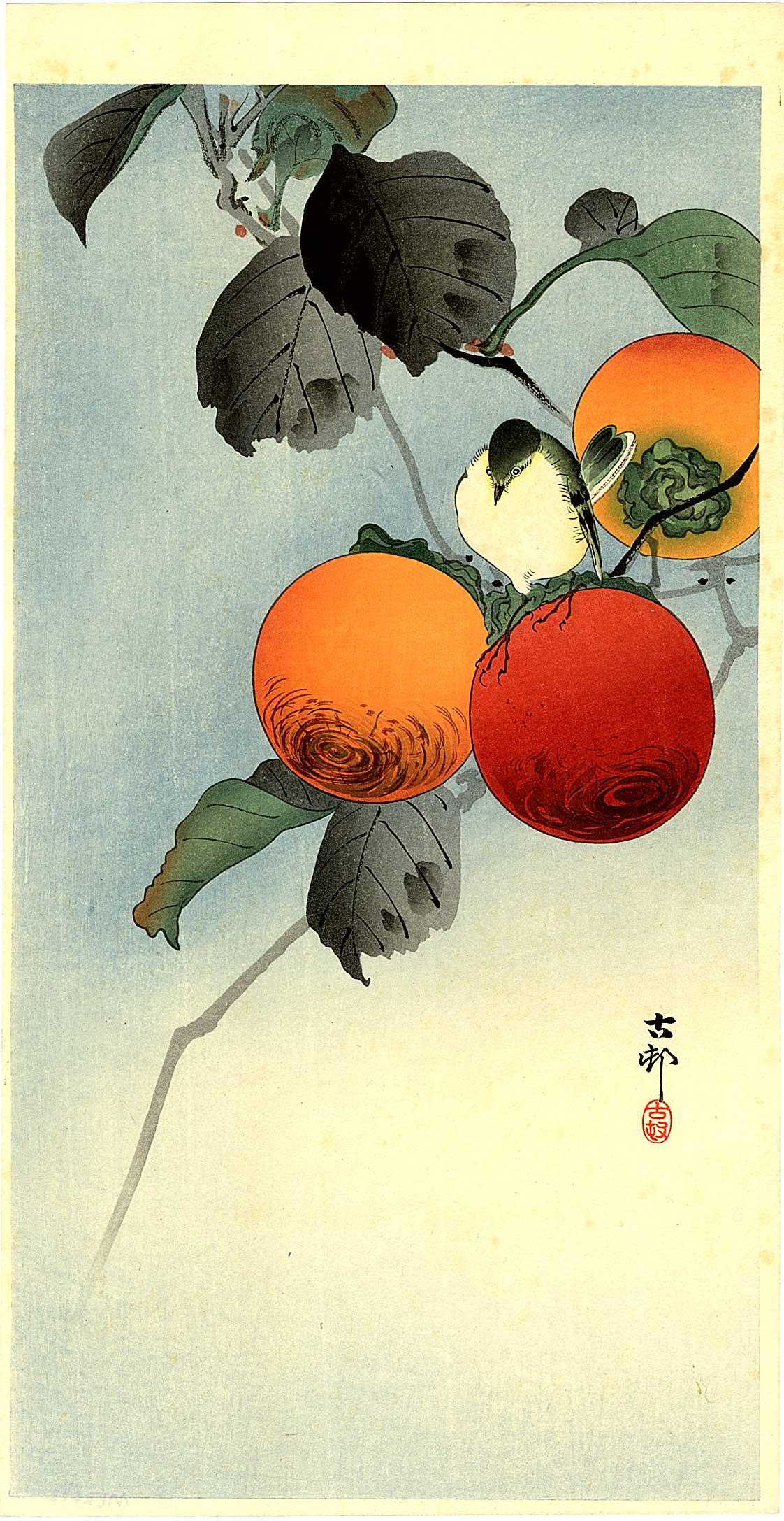 Koson Ohara - Nuthatcher and Persimmon c1900/23 MULLER NR (1 of 2)