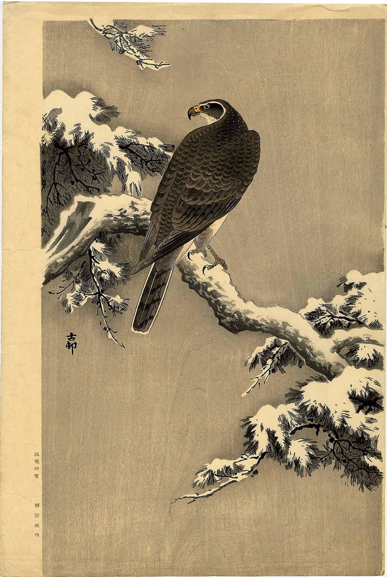 Ohara Koson: Goshawk on Snowy Branch 1930s Woodblock (1 of 2)