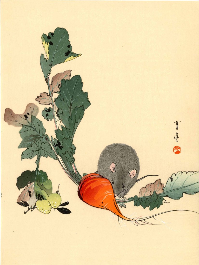 Watanabe Seitei: Mouse and Turnip 1930 Woodblock: Japanese Woodblock Print, 1930 published by the Shima Art Co. SIZE IN INCHES: chuban, 7.4 x 10.25 inches PROVENANCE: From the Robert O. Muller estate. SEITEI WATANABE (1851-1918) was born Yoshikawa Yo