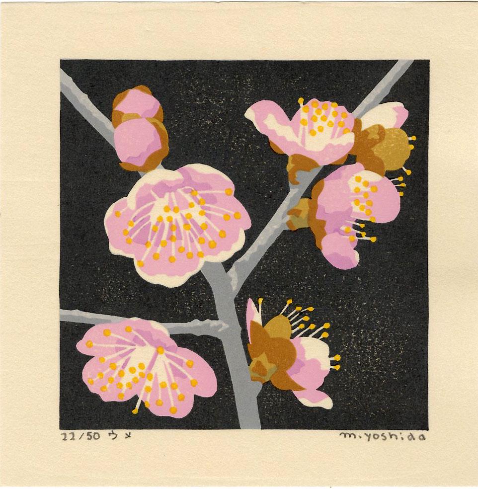 Masaki Yoshida: Pink Cherry Blossom 2006 1st Ed. Woodblock NR (1 of 2)