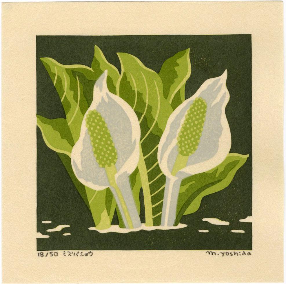 Masaki Yoshida: Botanical 2006 1st Ed. Woodblock NR: Japanese Woodblock Print, 2006, self published by Masaki Yoshida, signed and numbered 18/50 in the lower margin SIZE IN INCHES: 6.5 x 6.5 inches