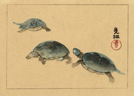 Korin Ogata: Three Turtles Woodblock: Japanese Woodblock Print, 1920s published by Nishinomiya SIZE IN INCHES: approx. 4 x 3 inches PROVENANCE: from the estate of Robert O. Muller OGATA KORIN was an Edo era painter after whom the Rinpa sc