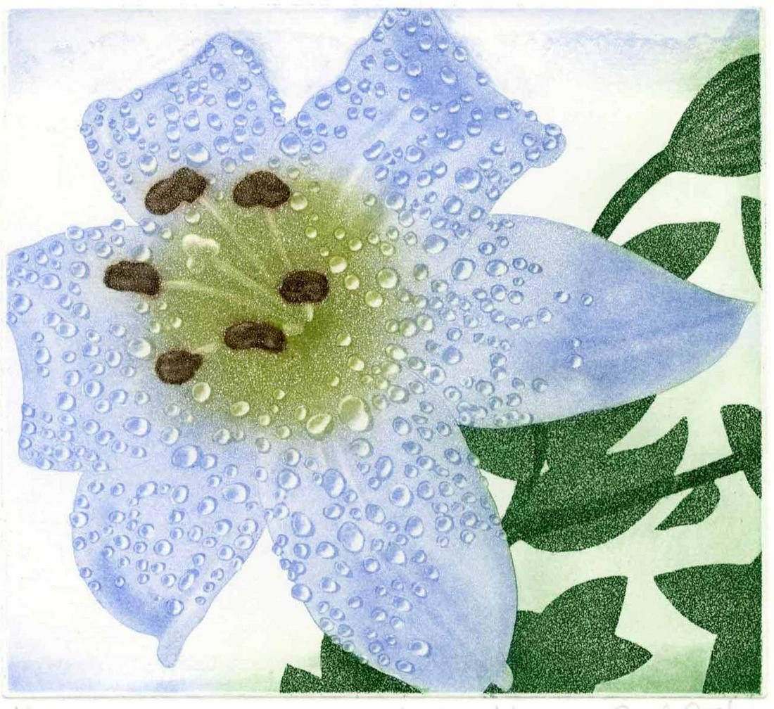 Emiko Aida: Nourish - Moon Shadow Lily c.2006 1st Ed. Aquatint (1 of 3)