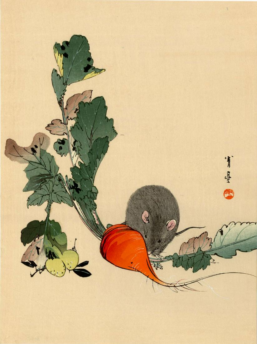 Watanabe Seitei: Mouse and Turnip 1930 Woodblock NR: Japanese Woodblock Print, 1930 published by the Shima Art Co. SIZE IN INCHES: chuban, 7.4 x 10.25 inches PROVENANCE: From the Robert O. Muller estate. SEITEI WATANABE (1851-1918) was born Yoshikawa Yo