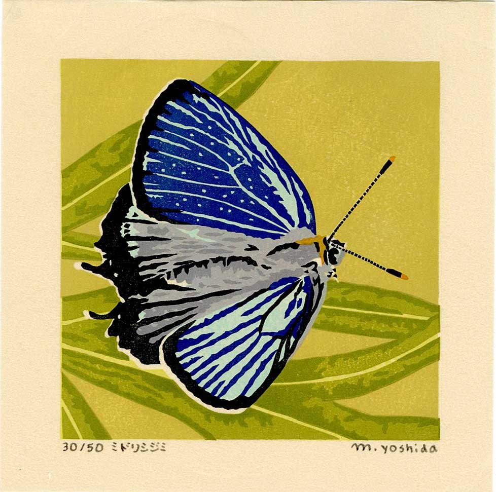 Masaki Yoshida: Butterfly 2006 1st Ed. Woodblock NR: Japanese Woodblock Print, 2006, self published by Masaki Yoshida, signed and numbered 30/50 in the lower margin SIZE IN INCHES: 6.5 x 6.5 inches