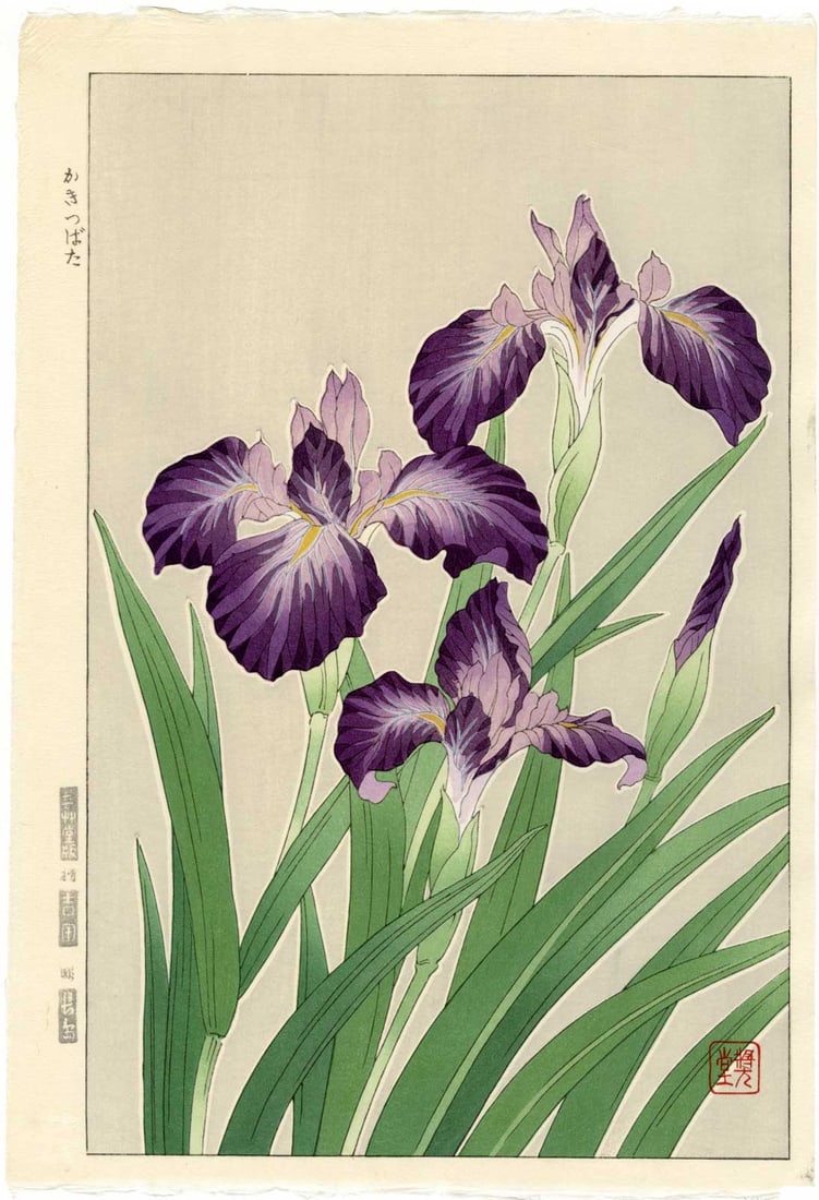 Kawarazaki Shodo - Purple Japanese Iris 1954 WoodblockNR (1 of 2)