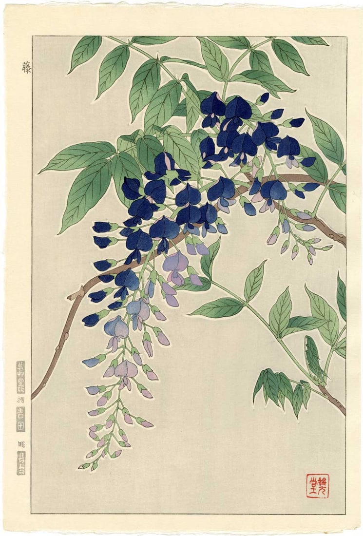 Kawarazaki Shodo - Purple Wisteria 1954 WoodblockNR (1 of 2)