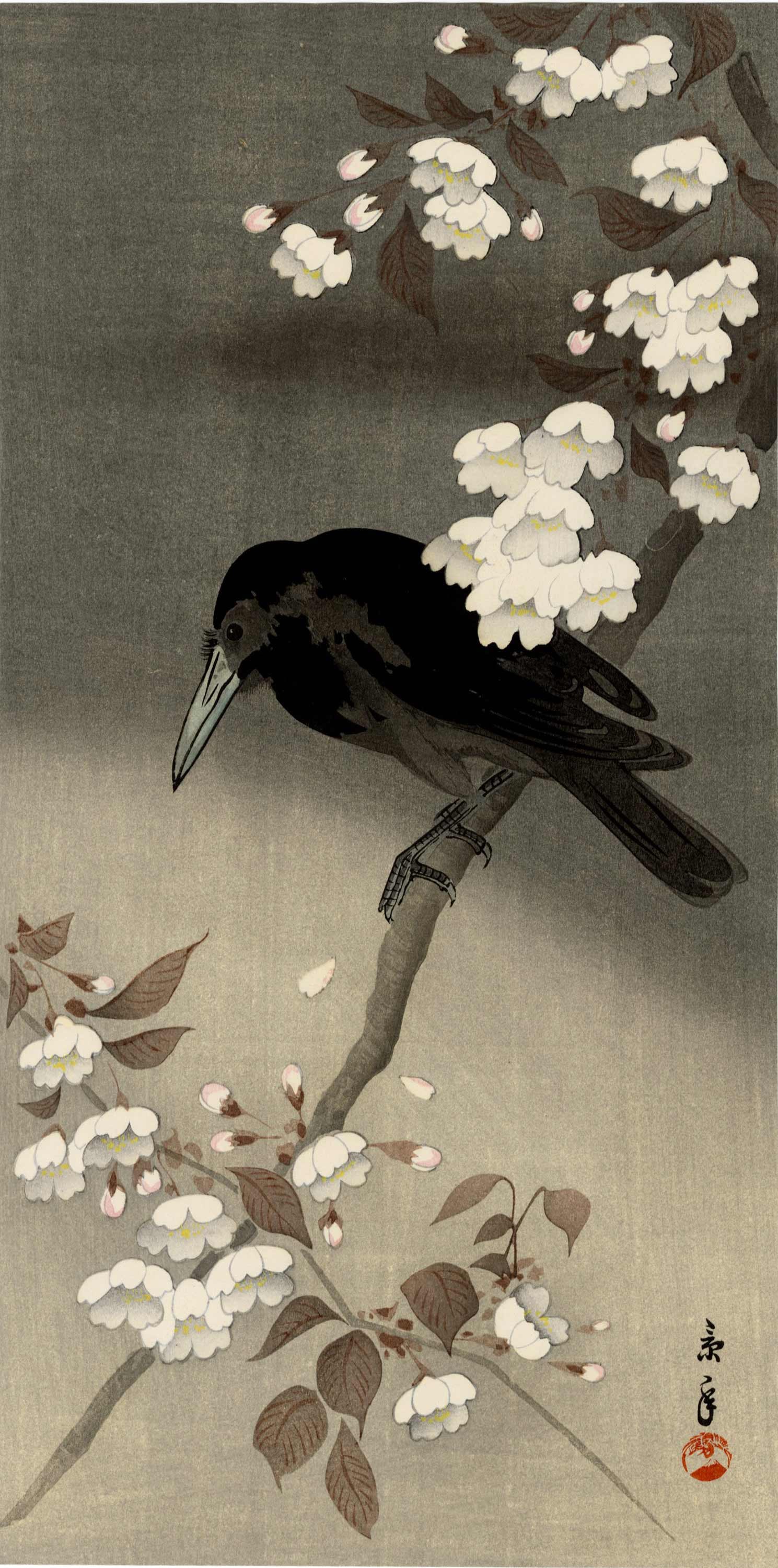 Keinen Imao - Crow on Cherry c.1930 WoodblockMULLER NR: Japanese Woodblock print, c.1930, Shima Art Company Publisher, original print. SIZE IN INCHES: 7.5 x 15 COMMENTS: Skillfully executed "bokashi" shading, extensive deep "gauffrage" (embossing) to bloss