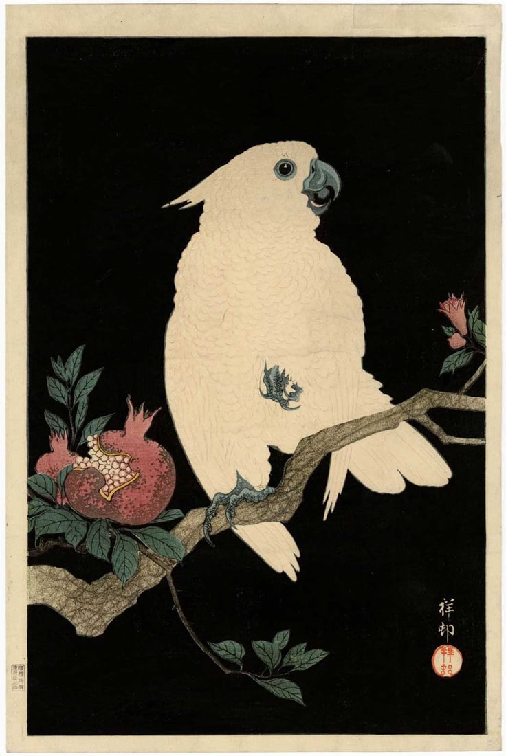 Koson Ohara - Cockatoo & Pomegranate 1927 A-seal First Ed NR: Japanese Woodblock Print, 1927, Watanabe Publisher, A-seal (1924-30) appropriate First Edition seal. SIZE IN INCHES: 10.25 x 15.5 COMMENTS: Skillfully printed "bokashi" shading, extensive "gauffrage" 